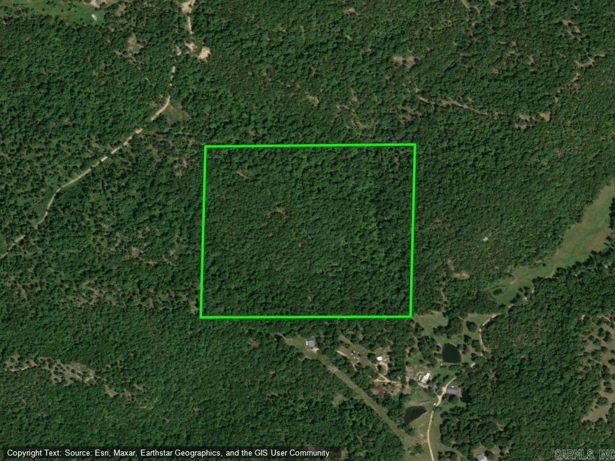 40 +/- acres located off of Jumbo and Easley Mountain Road. Mostly wooded property. This land is land locked and has no easement. This property cannot be viewed or accessed.