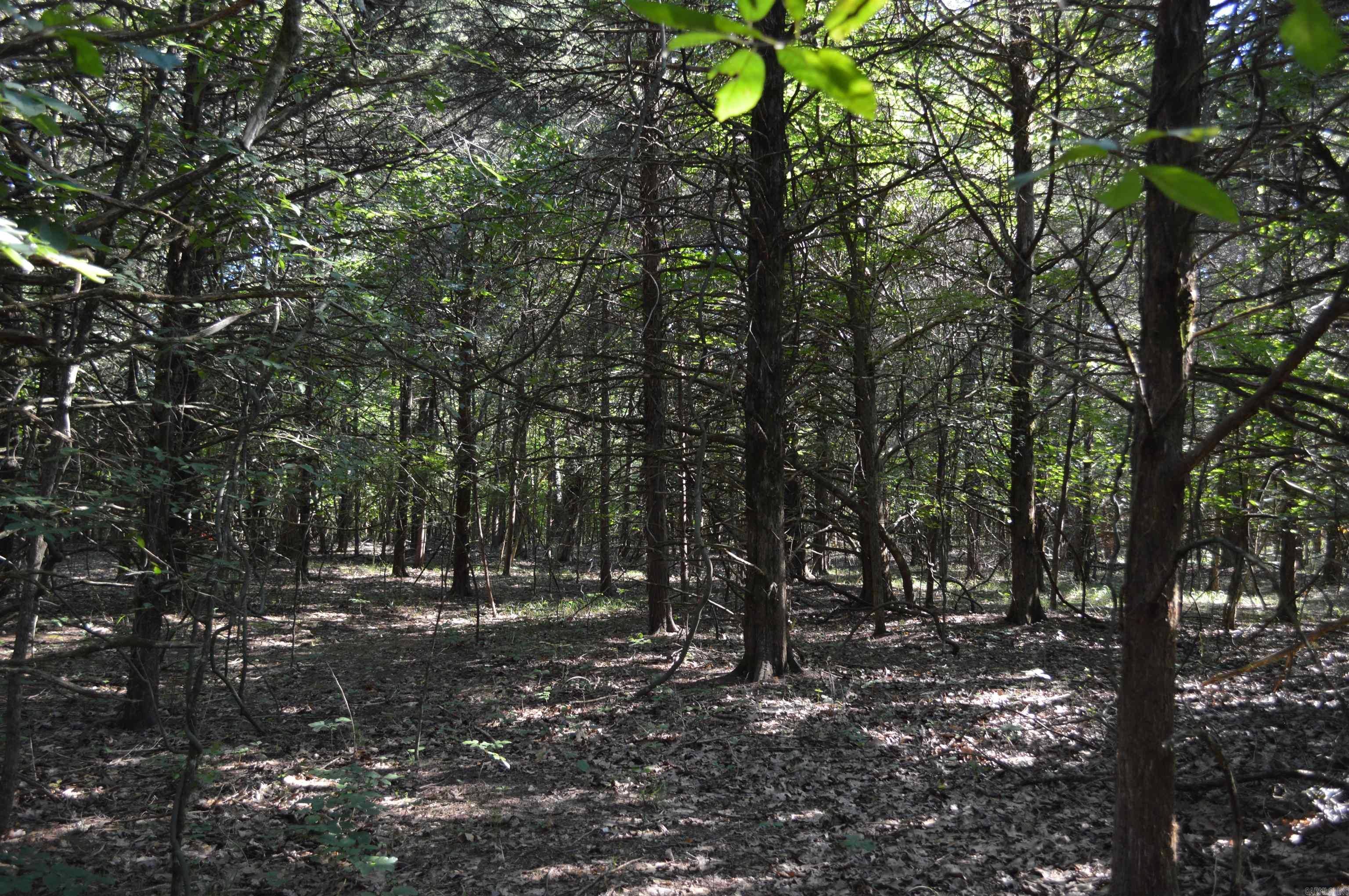 Not in Subdivision - Land