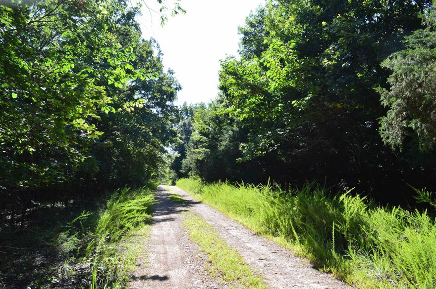 Located just on Bull Shoals Lake, this five-acre property presents multiple building opportunities with its level, open spaces, rural location, and beautiful scenery. This property is located in the quaint rural area between Mountain Home, Harrison, and Branson, filled with both hunting and fishing locations and opportunities. This property is connected to Corps lines on both the north and south sides, the north side looking onto the main channel of Bull Shoals Lake while the south looks onto a quiet cove. The property is covered in a balance of both dense and thinly forested areas, perfect for a mix of building locations and privacy. The gravel road leading to the property as well as the open stands of forestry allow for easy access of the property.