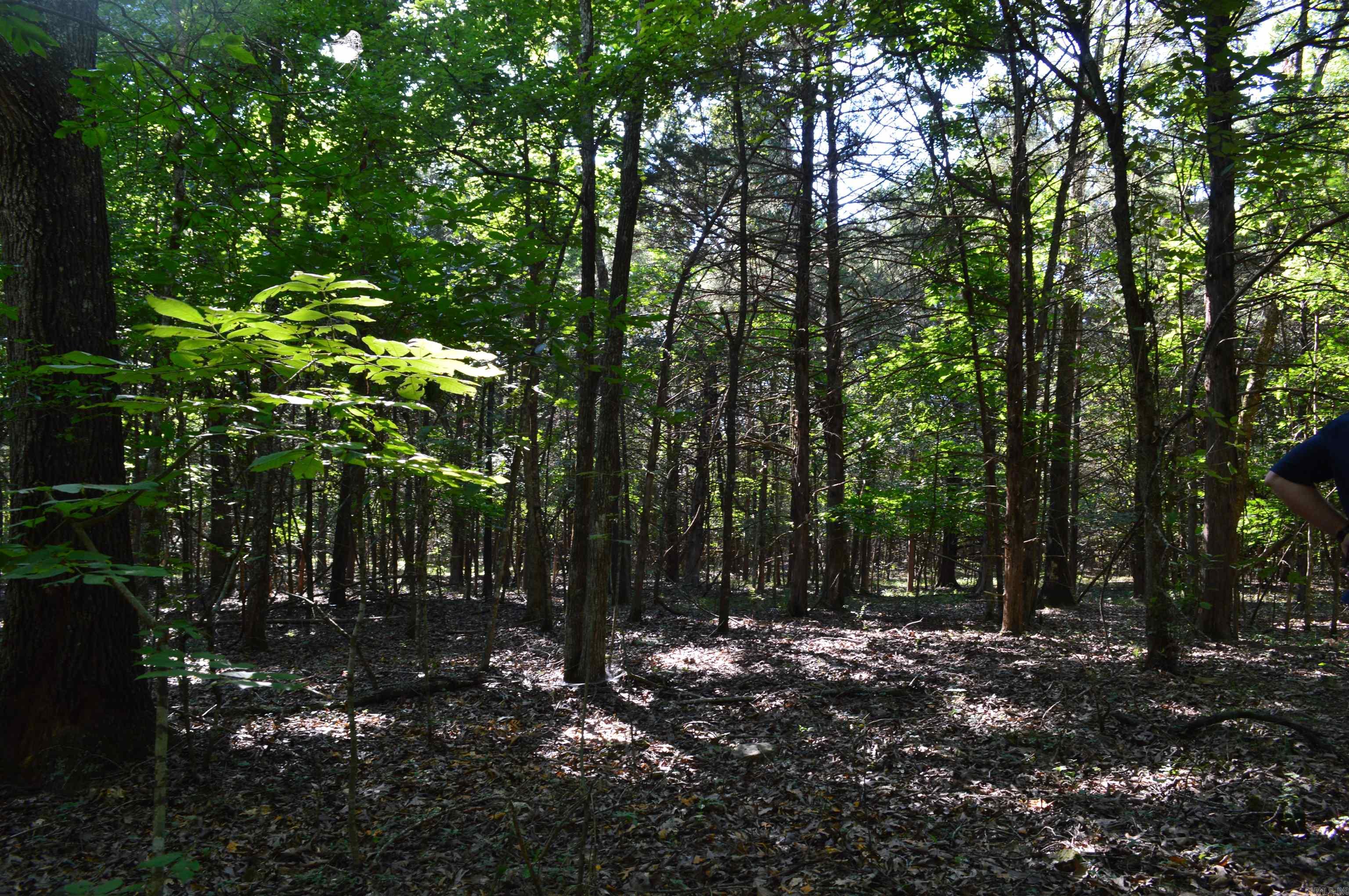 Not in Subdivision - Land