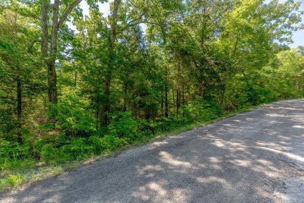 KONAWA DR, CHEROKEE VILLAGE, AR 72529 - Image 0814606aef8910c5261daba261dca170/2489363203