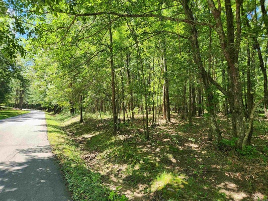 104 ROOSEVELT DR, STAR CITY, AR 71667 - Image 08153e84bc1eb2dfb3e1e421c7cacc89/712391514