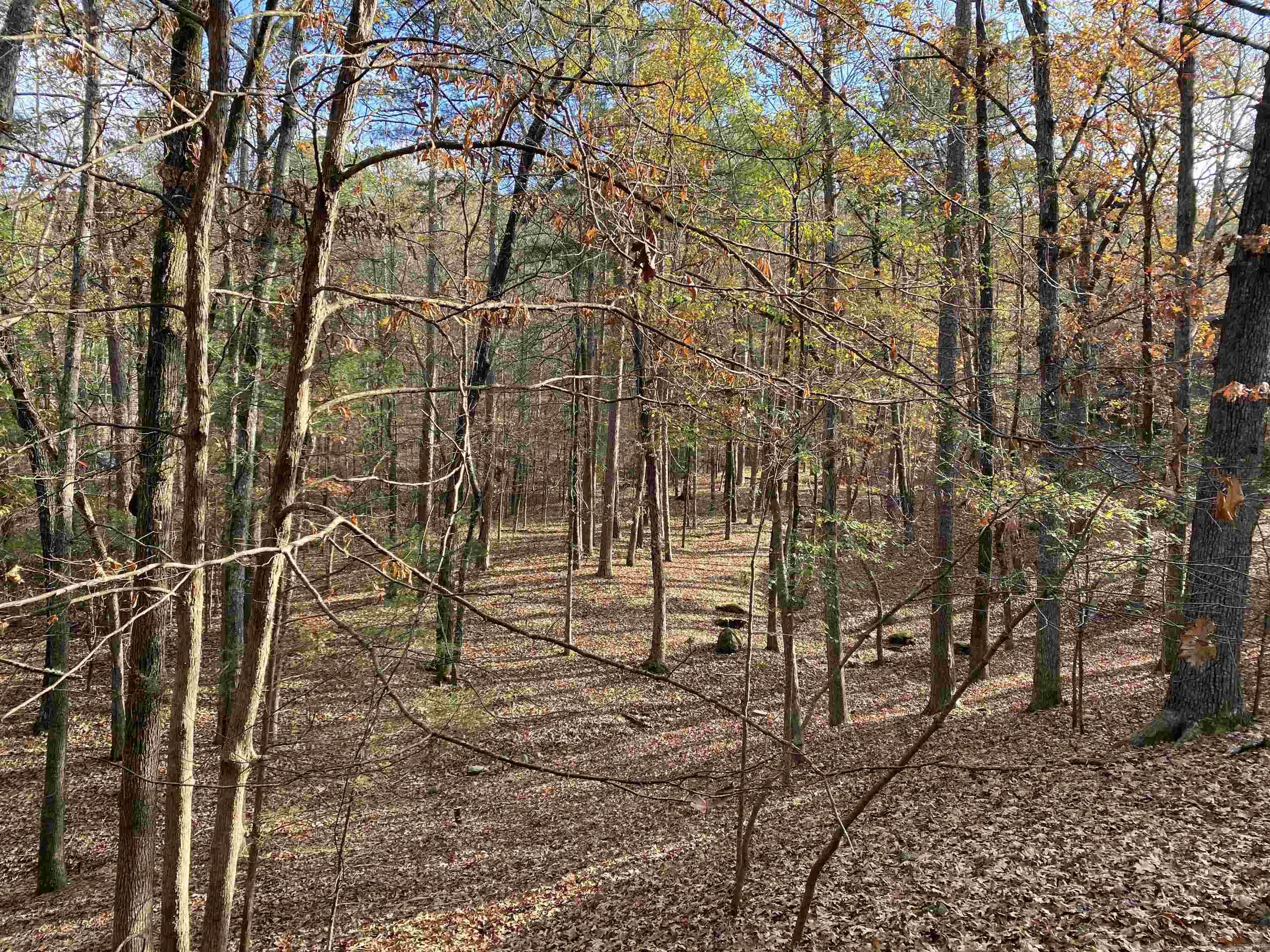 Harbor East Condo - Residential