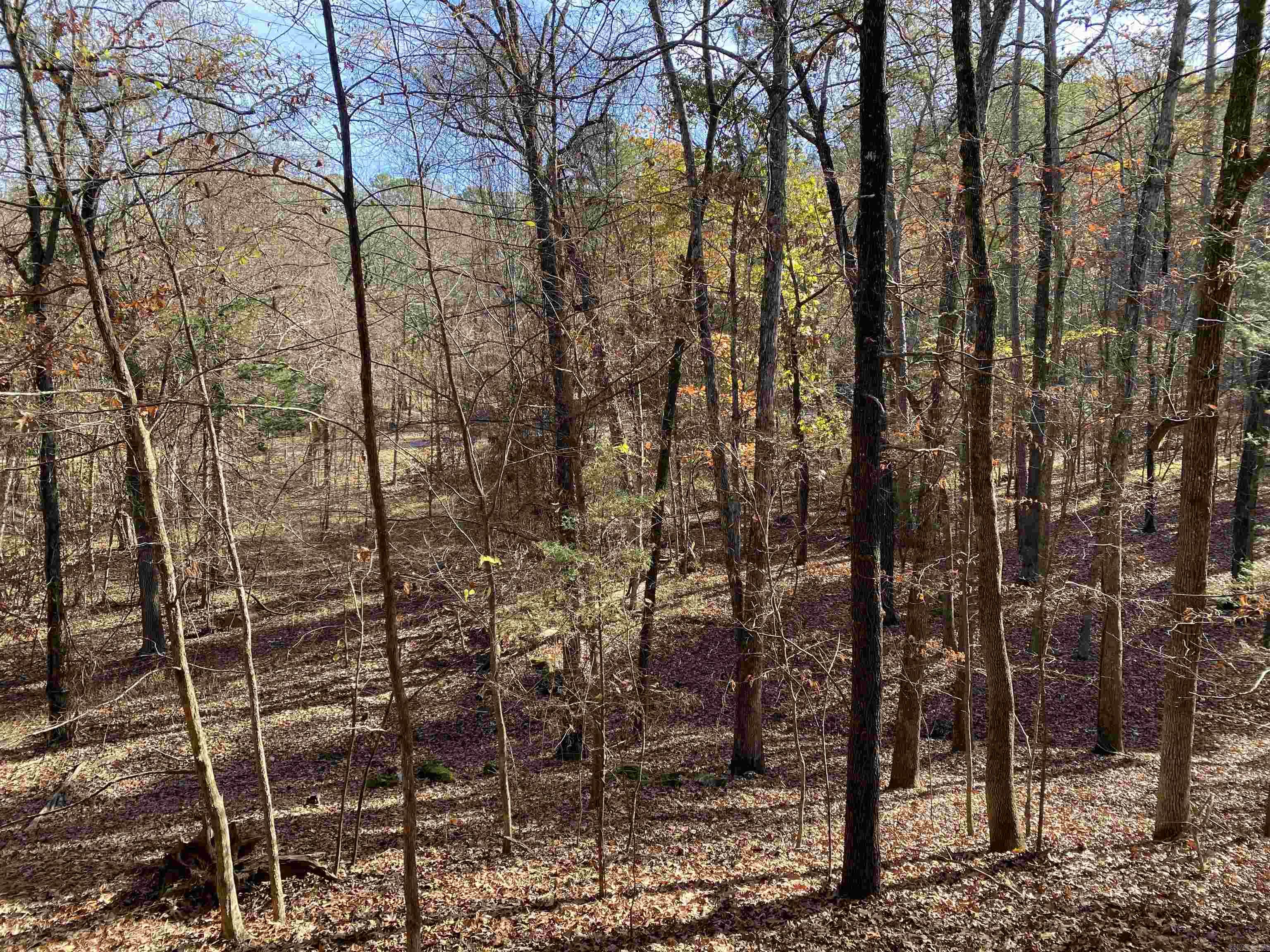 Harbor East Condo - Residential