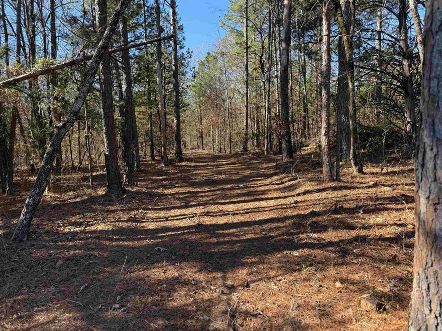 Discover 16.65 acres of peaceful country living with endless potential. This beautiful tract offers multiple buildable sites, giving you freedom to create your ideal home or getaway retreat. Gently rolling terrain, privacy, and abundant wildlife make it a hunter's dream. Whether you're looking to build, explore, or escape the noise, this property delivers the perfect blend of seclusion and opportunity. *SEE AGENT REMARKS BEFORE SHOWING.