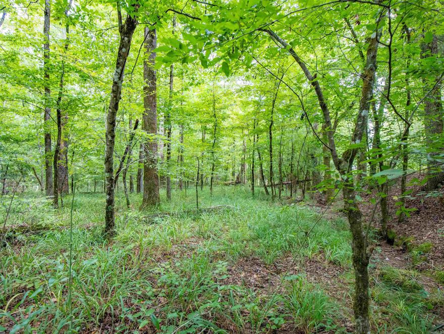 OVER 4 ACRES IN BEAUTIFUL HOT SPRINGS VILLAGE! WHAT A RARE OPPORTUNITY AT AN INCREDIBLE PRICE!! HAVE YOU ALWAYS WANTED TO LIVE IN BEAUTIFUL HOT SPRINGS VILLAGE NEAR GOLF COURSES AND LAKES, BUT WANTED ACREAGE, TOO!?  WELL, THIS ONE IS FOR YOU!! OWN THIS BEAUTIFULLY WOODED 4.43 ACRES WITH A CREEK AND SEVERAL GORGEOUS HOMESITES PERFECTLY & CENTRALLY LOCATED IN HOT SPRINGS VILLAGE! IT IS JUST A SKIP OVER TO FISHING AT LAKE PINEDA, HITTING A BALL AT THE CORONADO TENNIS CENTER, PICKLEBALLING AT BALBOA CHURCH, SWINGING A CLUB AT CORONADO OR BALBOA GOLF COURSES, TAKING A DIP OR SUNNING AT THE BEACH AT BALBOA LAKE, DOING STROKES  IN THE POOL AT THE CORONADO FITNESS CENTER, BEING ENTERTAINED AT WOODLANDS AUDITORIUM, DANCING AT THE CORONADO CENTER, DRINKING A COLD  AT ONE AT BALBOA LOUNGE OR RENTING A PONTOON AT BALBOA MARINA AND SOOO MUCH MORE!! CONVENIENT POA UTILITES AT PROPERTY BOUNDARY LINE INCLUDING WATER AND SEWAGE. BOUNDARY LINE ALSO HAS ELECTRICITY!  THIS WAS ORIGINALLY COOPER RESERVE PROPERTY AND NOW IS AVAILABLE TO YOU! SO, HAVE YOUR CAKE AND EAT IT, TOO!! CALL ME FOR MORE INFO!