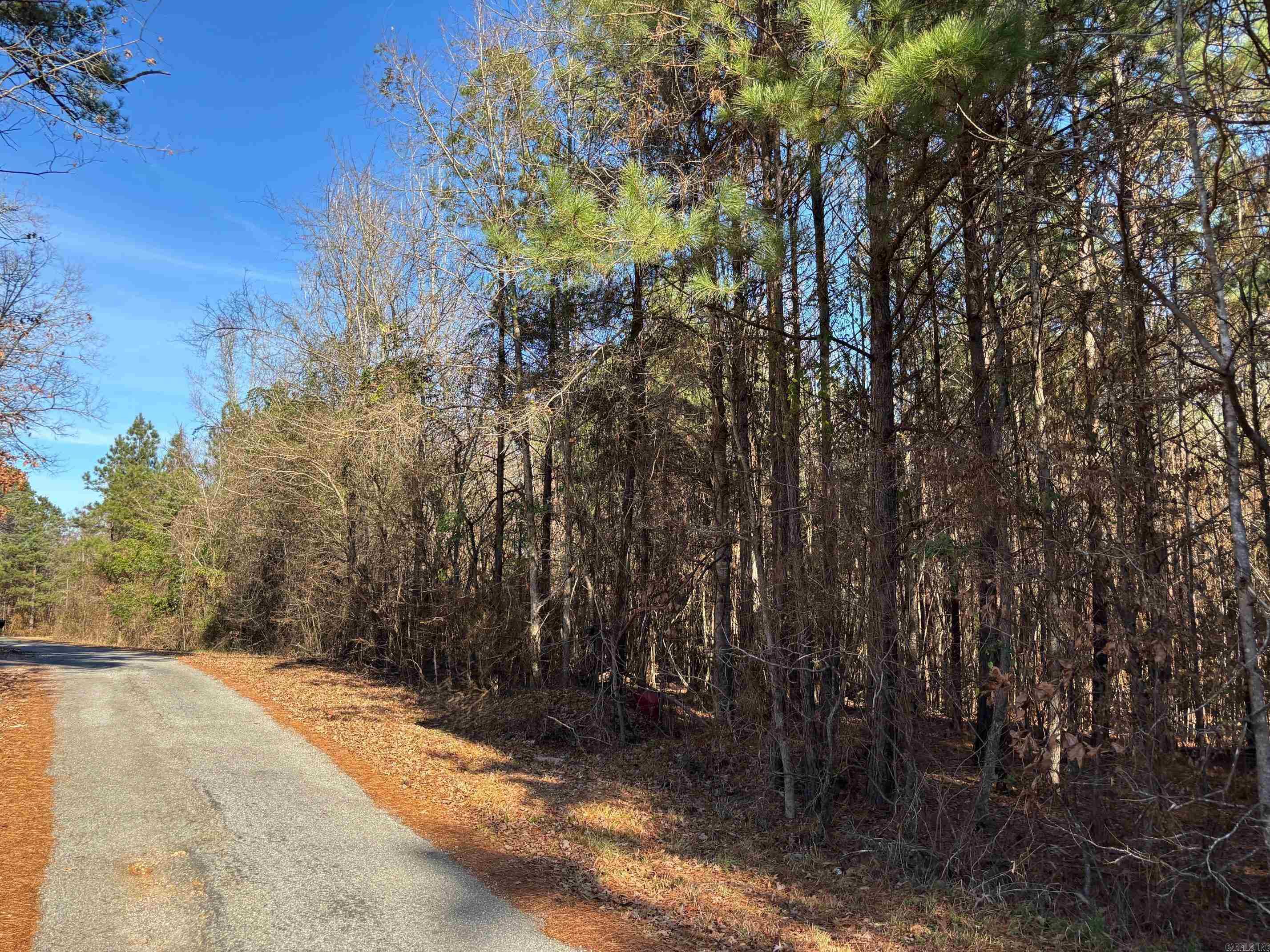 Culpepper Acres - Land