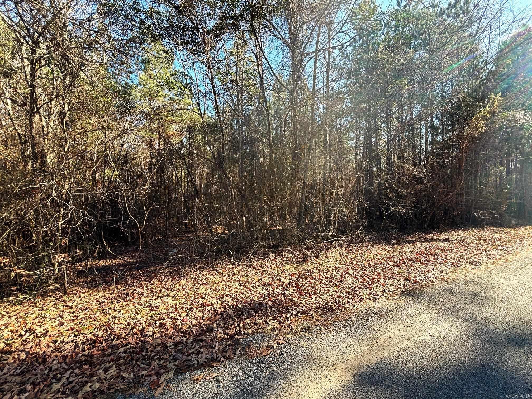 Culpepper Acres - Land