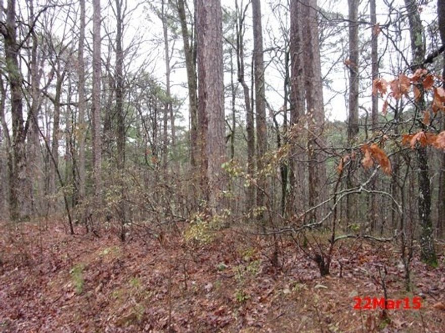 building lot in gated Hot Springs Village..$1.00; WOW! what a deal!! enjoy golf, lakes, tennis!! offers must be entered at https://www.auction.com..buyer/buyer agent must register at the auction link..Contact list agent for guide on registration, locating properties & offer entry.. it may take up to 7 calendar days for offer decision.  Communication will be sent to bidders with results & next steps for the accepted offer..Prop subject to $2,000 buyer premium paid at closing...start date 5-23-15 to 5-27-15