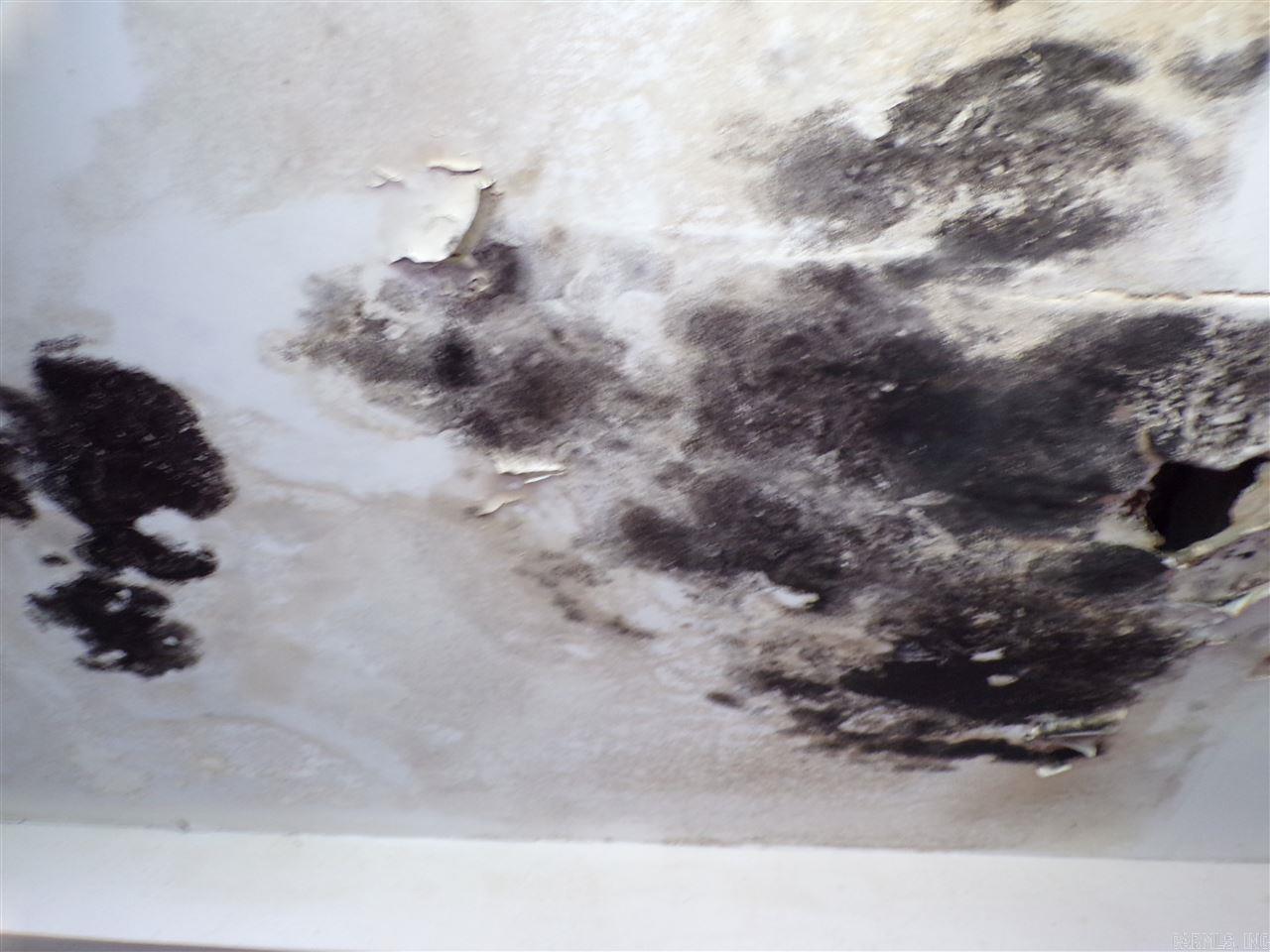 Spanish Grant #1 - Residential