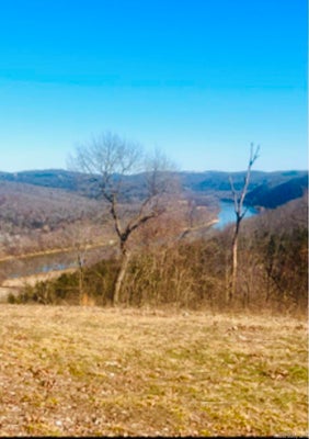 1277 EAGLE POINT RD, MOUNTAIN VIEW, AR 72560 - Image 0884e97f7aab7f8a929faa2770dd5a88/1824719392
