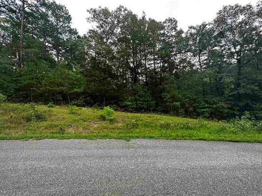 COBALT BAY DR, SHIRLEY, AR 72153 - Image 088dce08af9247bcd6f4ff0843f05eb2/2209910665