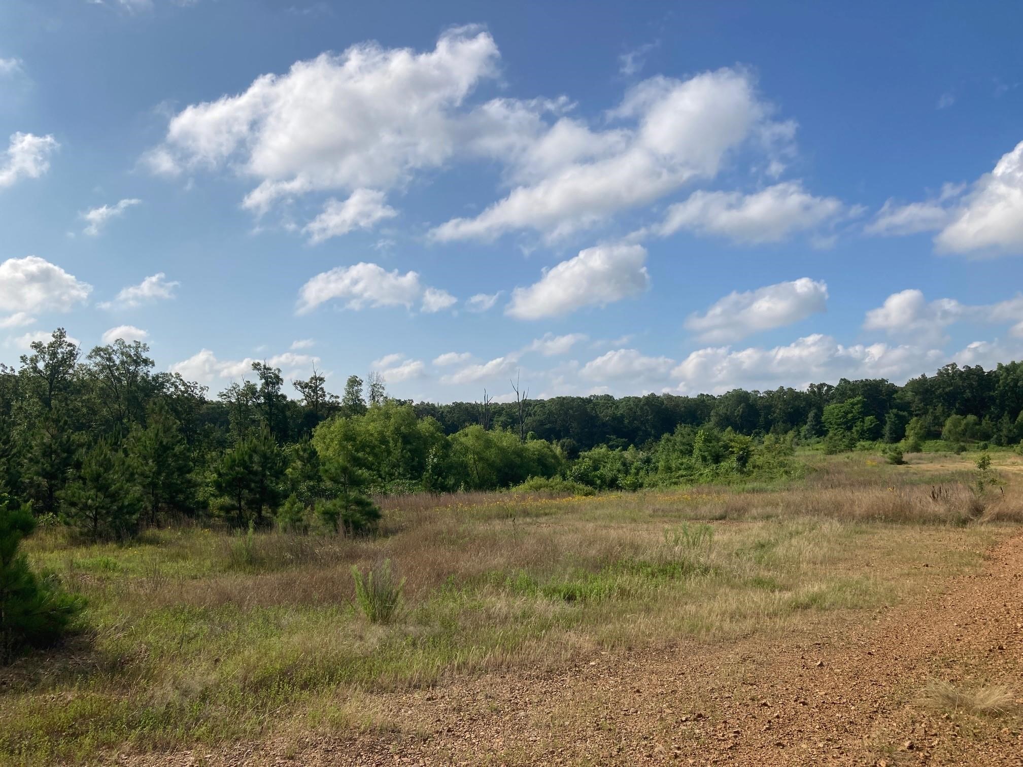 Matthews - Land