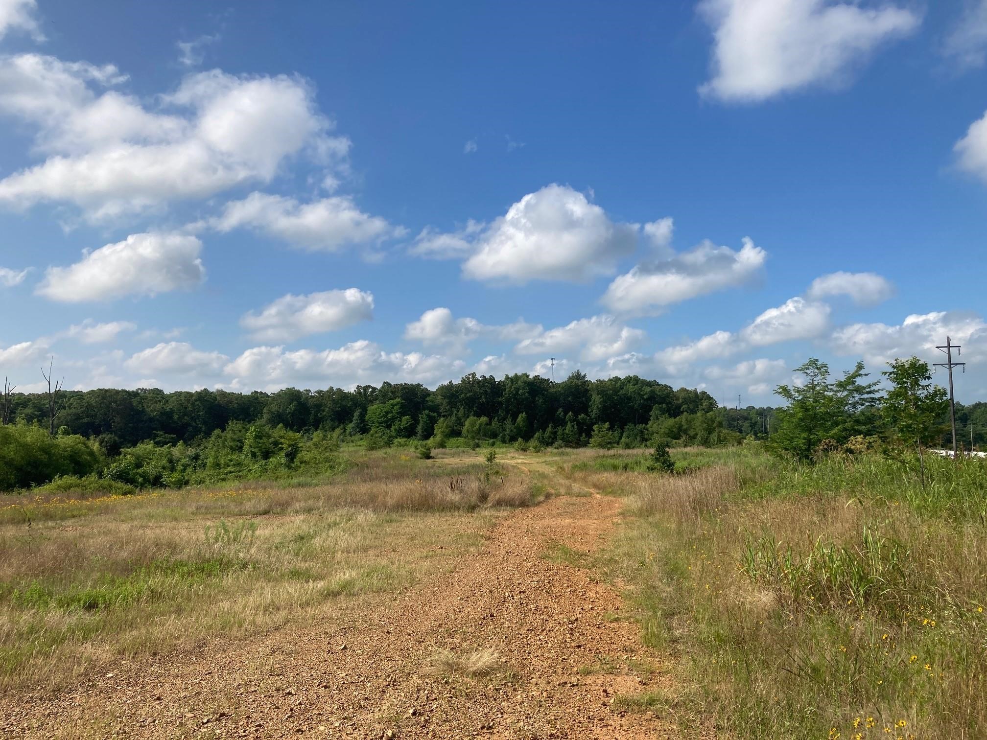 +/- 21 Acres of Residential property located at the highest point in Jonesboro City Limits. This property is surrounded by wooded areas on two sides, I-555 to the West and a few houses on the north boundary. One of the largest tracts of land in the city limits of Jonesboro, this property offers great sunsets and a large expanse from all of your outdoor activities. Property may be able to be rezoned for other uses as it does have frontage on I-555. Take the Washington Avenue Exit from I-555 and turn right up the hill to see this beautiful property.
