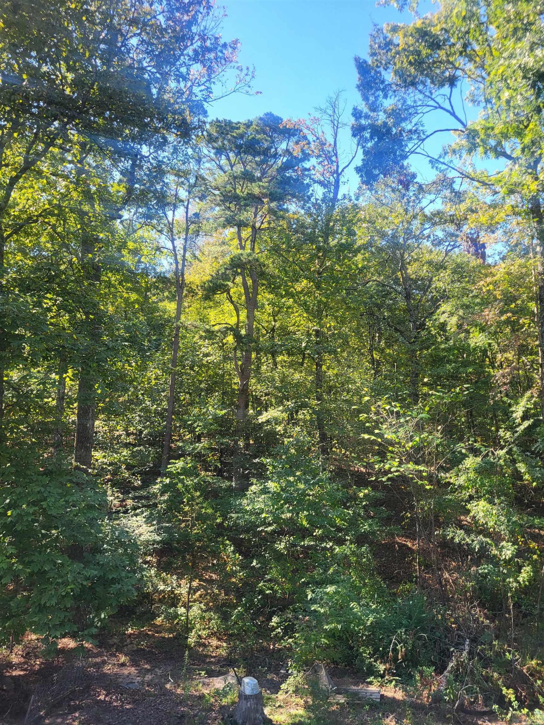 Approximately 2 Acres located in West Little Rock. Convenient location to shopping, restaurants and interstates. All of lots 5 thru 8 Block 16 and lots 1 thru 8 block 17 Gibraltar Heights. 12 lots in total already subdivided. All lots have access to Little Rock public sewer. Electricity is available through Entergy. Gas available Little Rock water is available with the installation of new water lines. Lot sizes 50 x 140 approx. Coleman Ave is next to 800 Atkins road, walk down the land next to the house and the property is located behind those houses. Future development will begin next year on adjacent property. Contact agent for more details. Agents see Associated Docs for Survey!