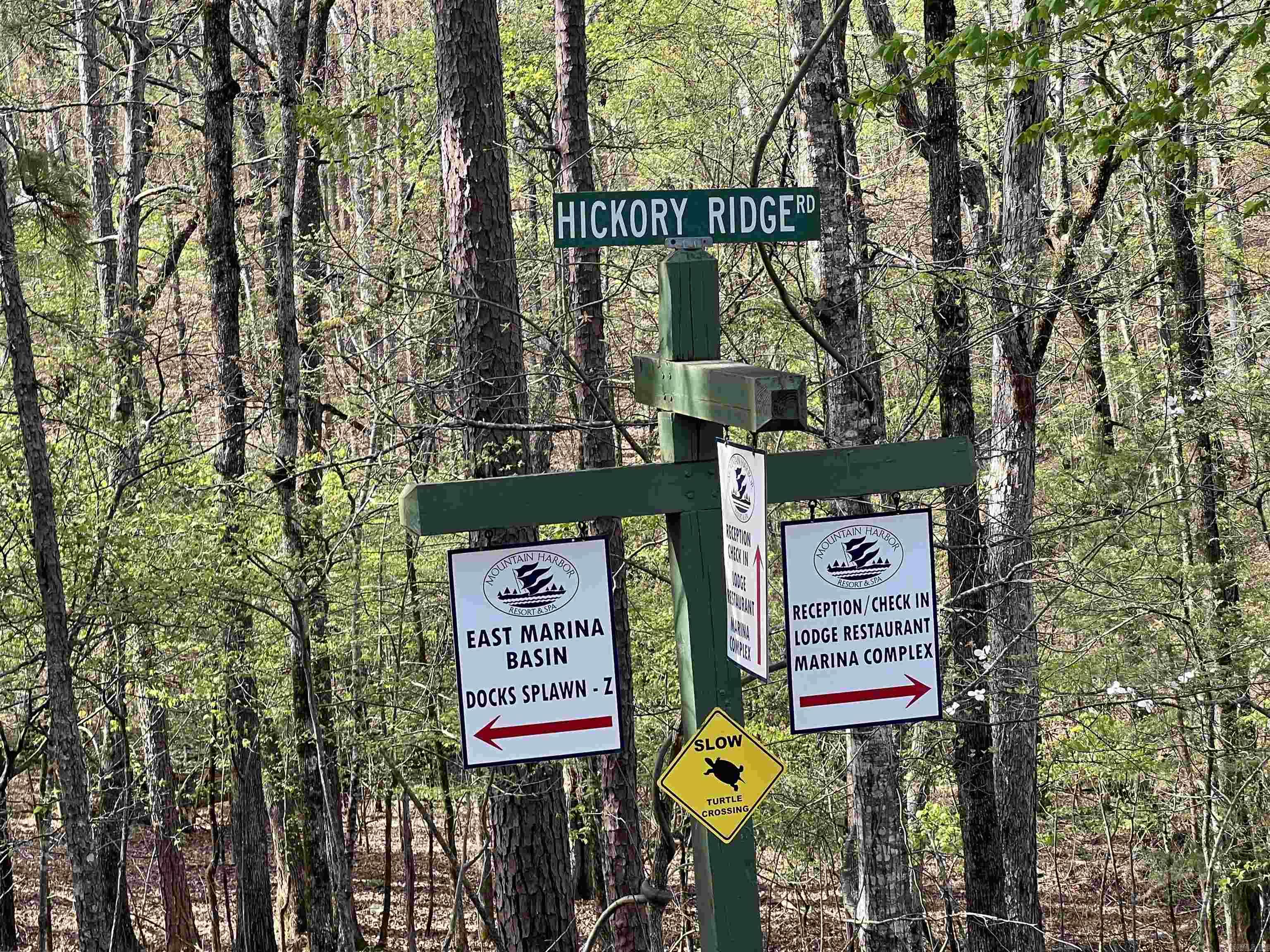 HICKORY RIDGE - Land