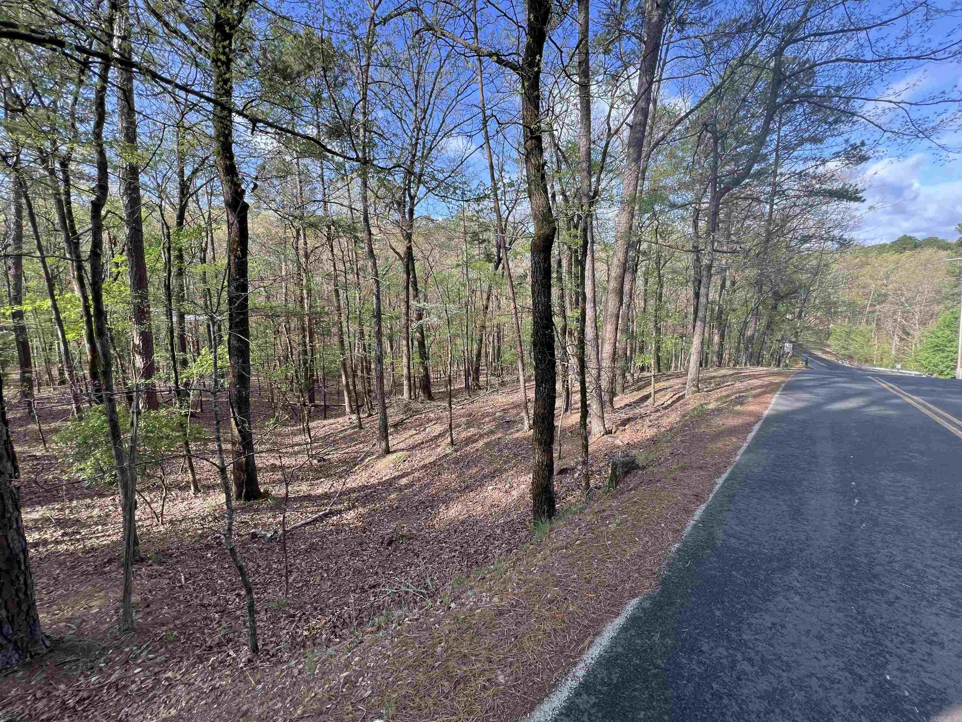 HICKORY RIDGE - Land