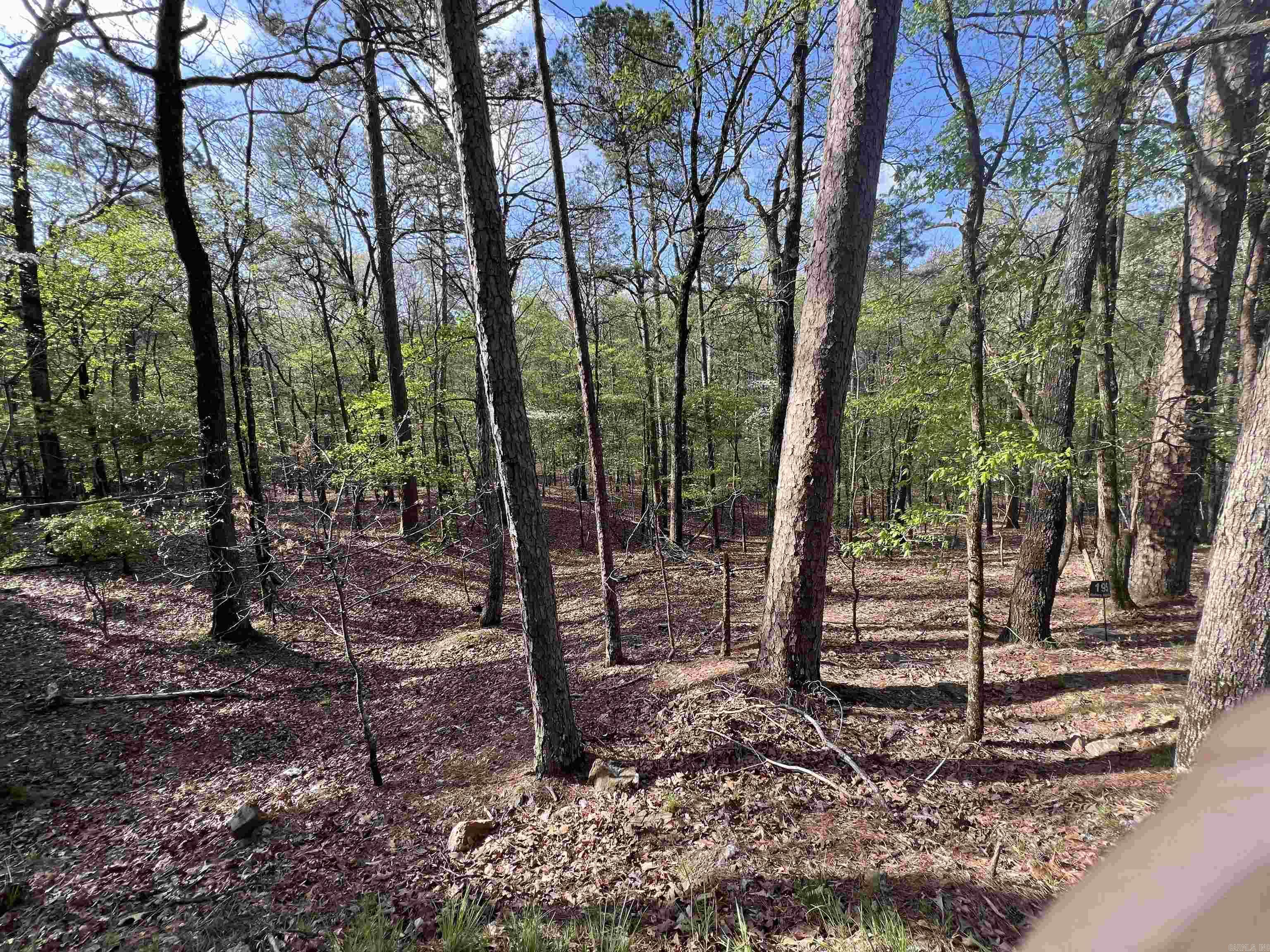 HICKORY RIDGE - Land