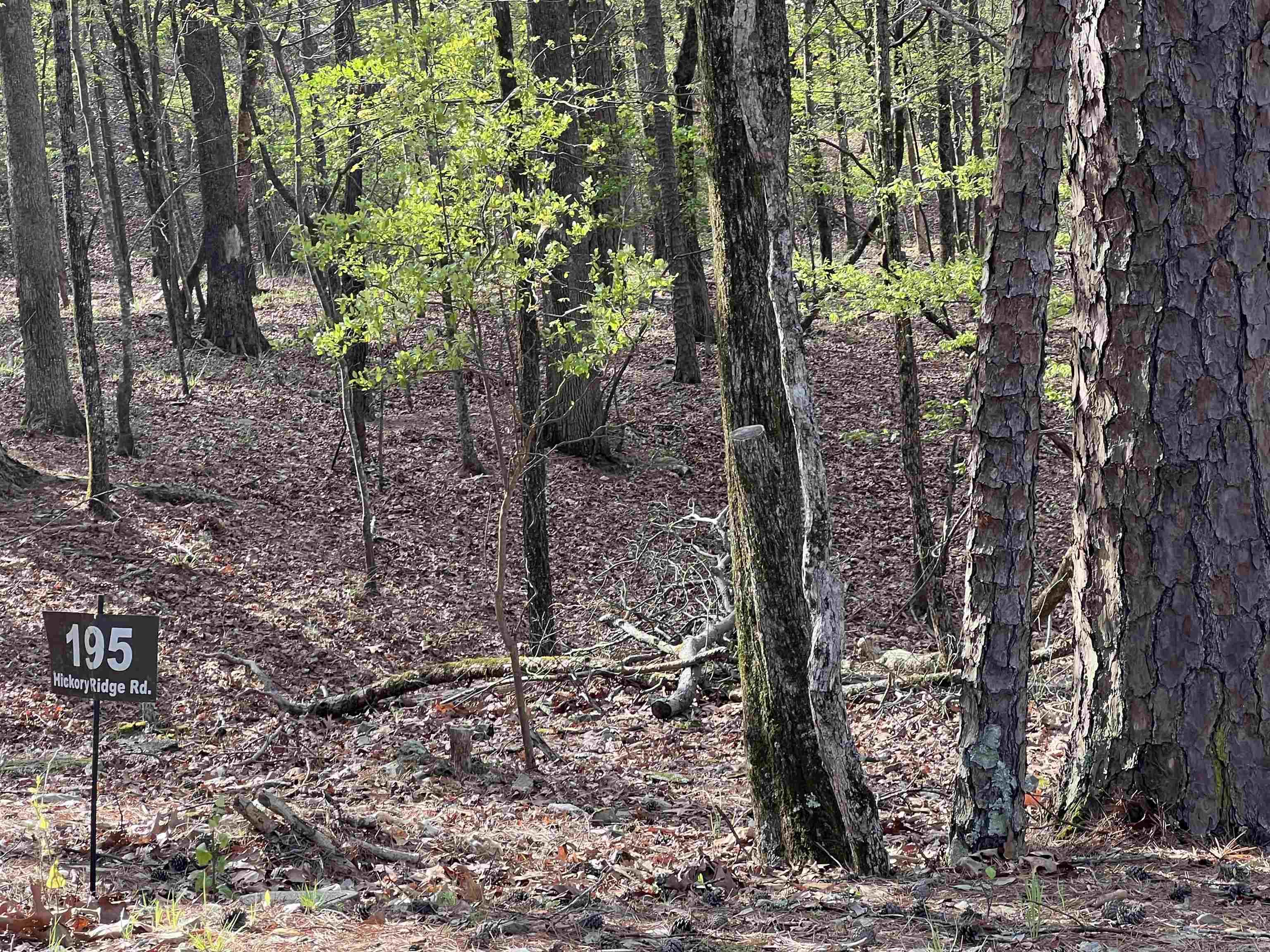 HICKORY RIDGE - Land