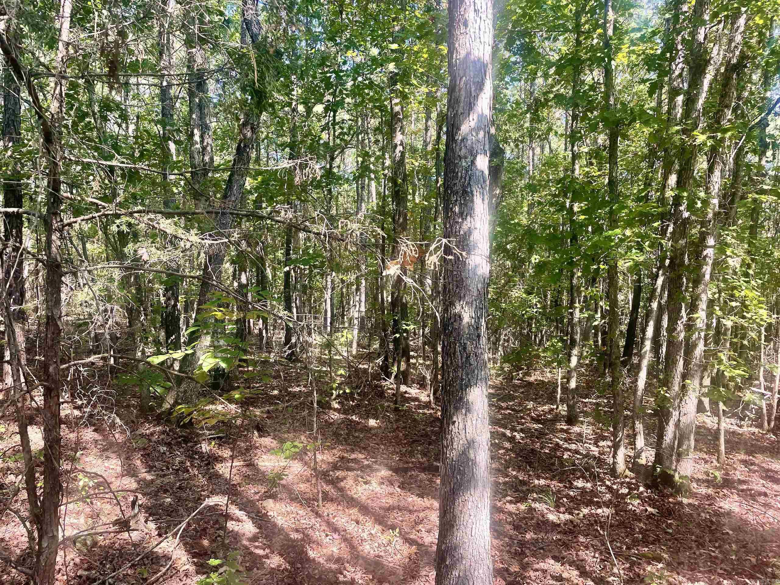 Not in Subdivision - Land