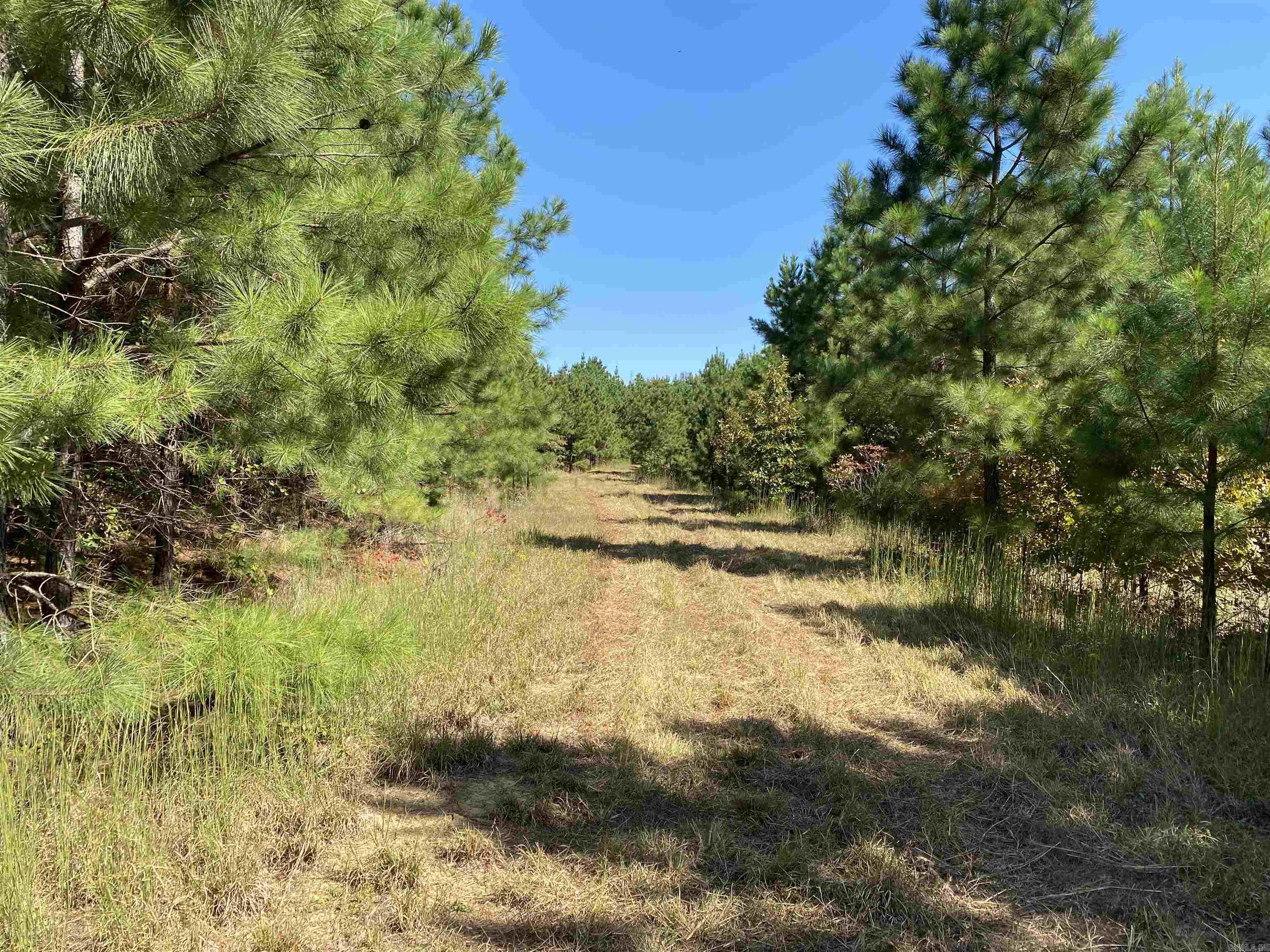 This 120 acres is a deer hunters dream, boasting of terrain covered mainly in pine along with scattered hardwoods throughout. If hunting is not your thing, this is the perfect spot to build a home and let the cover of the trees take away the stresses of everyday life. Roads are already built in to the property but the majority of the land is untouched giving you the opportunity for a clean slate for your own ideas and dreams. Large boulders are found intermittently throughout the property making for great landscaping possibilities or sell them off if you so choose. Regardless of what your plans are, this is the property to get you away from the busyness of the world! Mineral rights do not convey.