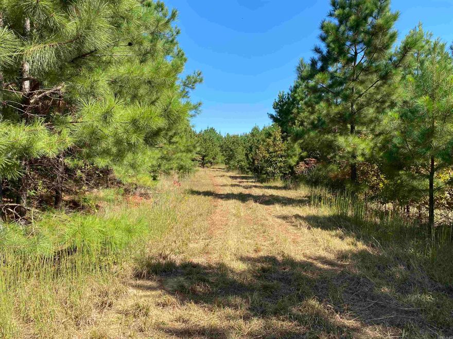 This 120 acres is a deer hunters dream, boasting of terrain covered mainly in pine along with scattered hardwoods throughout. If hunting is not your thing, this is the perfect spot to build a home and let the cover of the trees take away the stresses of everyday life. Roads are already built in to the property but the majority of the land is untouched giving you the opportunity for a clean slate for your own ideas and dreams. Large boulders are found intermittently throughout the property making for great landscaping possibilities or sell them off if you so choose. Regardless of what your plans are, this is the property to get you away from the busyness of the world! Mineral rights do not convey.