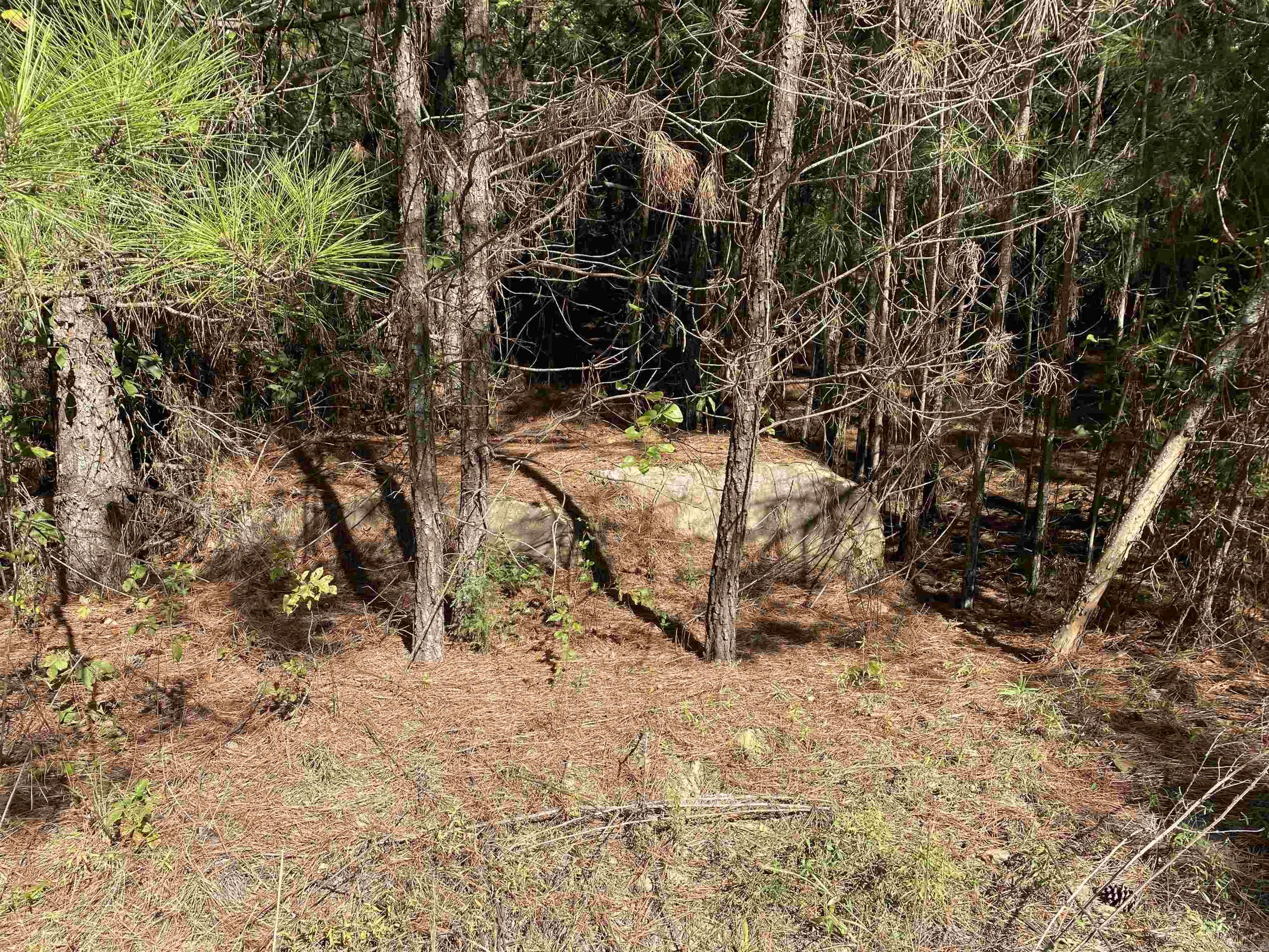 Metes & Bounds - Land