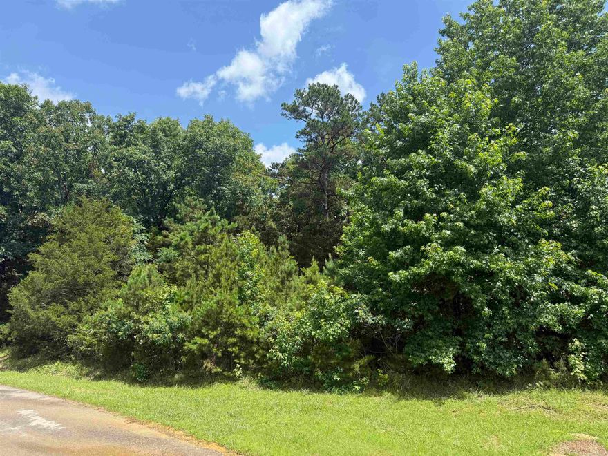 Excellent buildable lot in Mountain Aire with multiple great building sites. The lot had a previous perc test and was approved for a 4 bedroom and 3 bathroom house. Make the call and start building your dream home.
