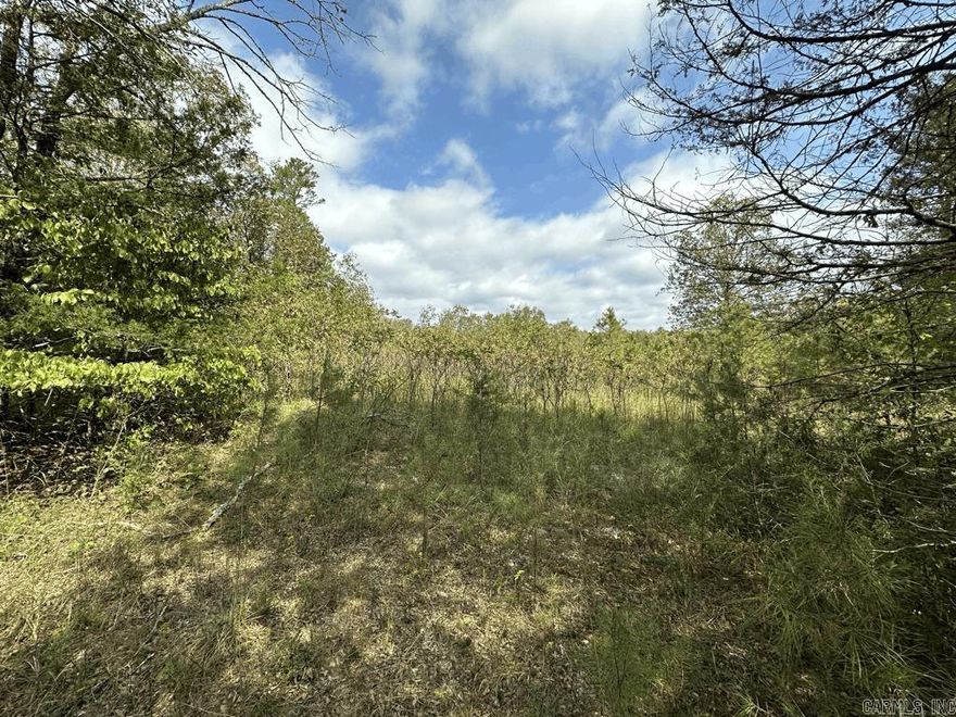 Motivated seller - present all offers for this 40 acre tract joining Ouachita National Forest on 2 sides in Story AR.  Unrestricted.  Has one heck of a view of Muddy Creek Wildlife Management Area (when the leaves fall off). This secluded tract already has a deer hanging system set up for you deer hunters.  It does have a wet weather pond and is partially fenced.  We found an old well and see where there used to be power to the property.  It is mostly wooded with a good stand of hardwoods, pines, and cedars. A couple of nice building spots.  I can not describe how peaceful and pretty this one is. Will make a nice get away spot and/or deer camp.