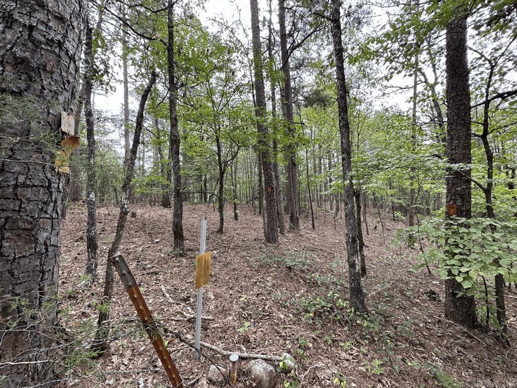 Metes & Bounds - Land