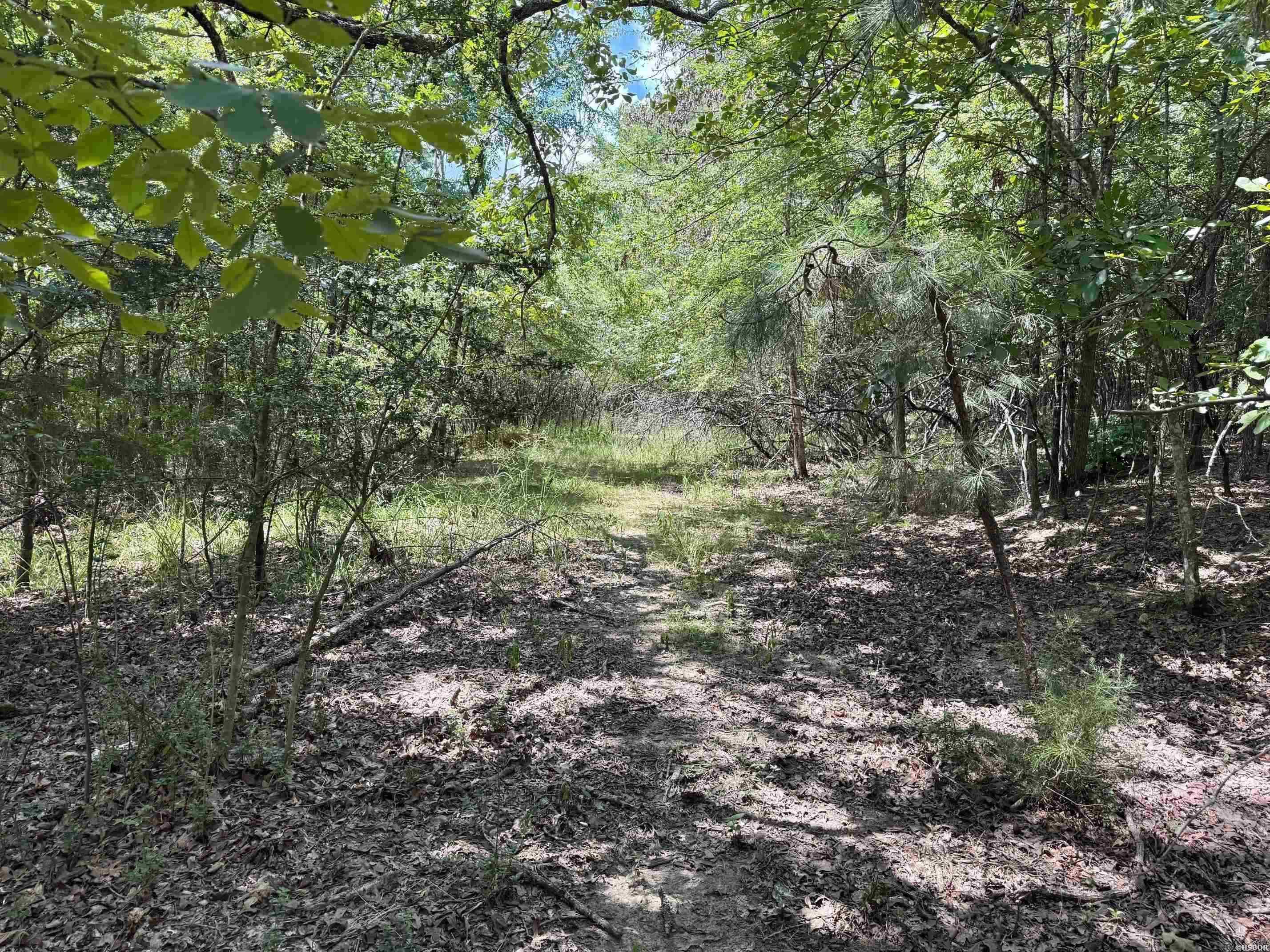 Not in Subdivision - Land