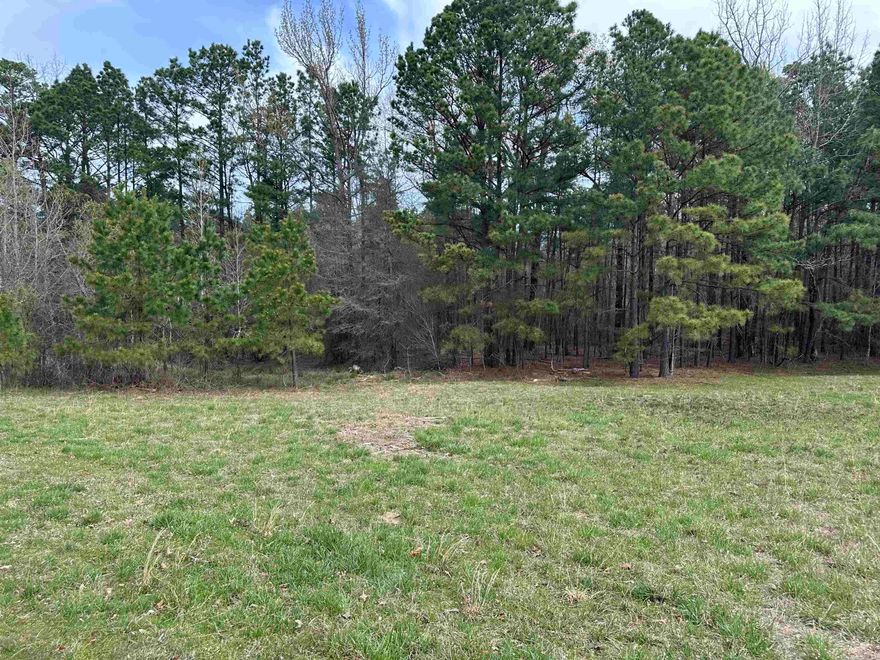 Land near Lake Degray!!! It's almost Lake Season and what's more fun than a place to stay.  Build a place for your boat and your family.  Utilites at the road.  Call us today and get ready for summer!