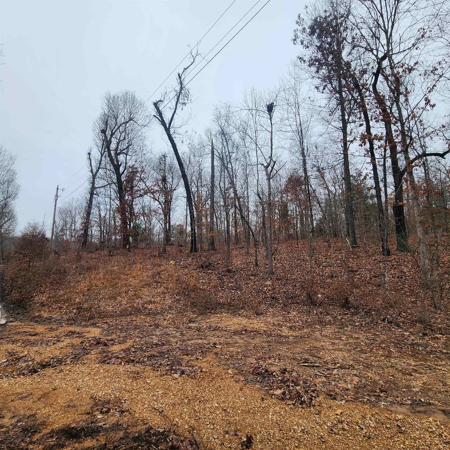 Unrestricted lot, located within the community of Ozark Acres. No SID fee here. If serenity is what you're looking for, then this is the spot for you. Vagabond Lake features a swim beach and is surrounded by parks. Spring Lake is fed by a natural spring that spills over into Vagabond Lake and is open year-round for fishing! Feeling adventurous? Take a short drive to Ozark Acres and take in the beautiful views of the Ozark foothills along the way.