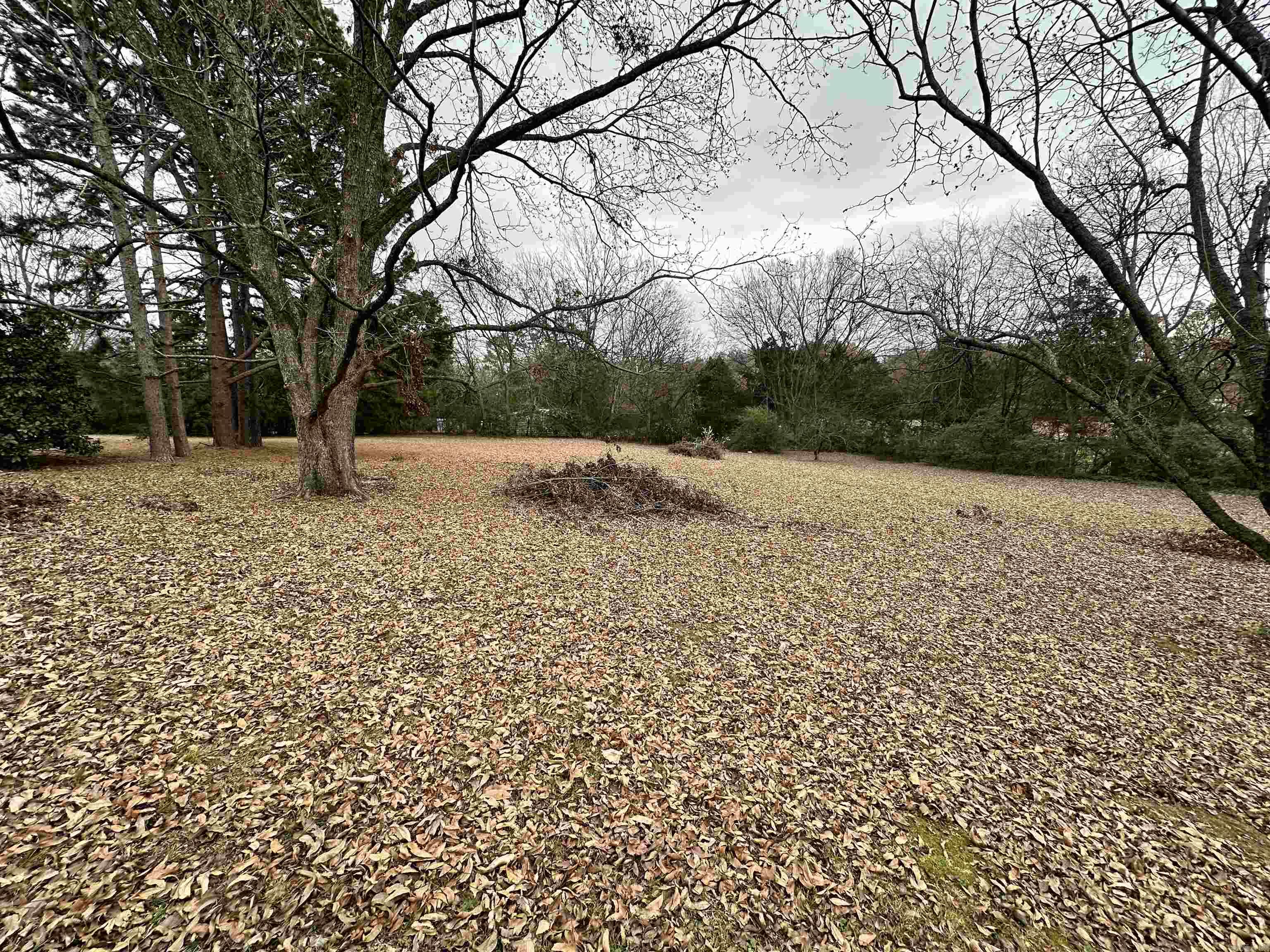 BLACK ROCK ORIGINAL - Residential