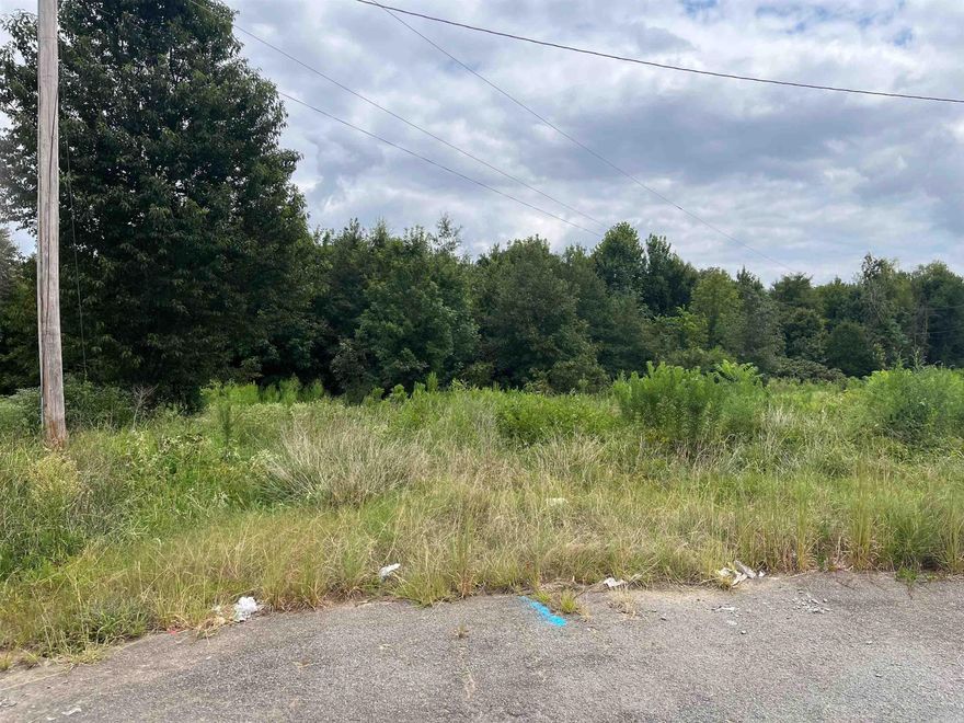 Wooded 3 acre Lot, mobile homes allowed, paved road & city water, Country setting, Minutes from Conway. Agents see Docs & Agent Remarks for Legal.