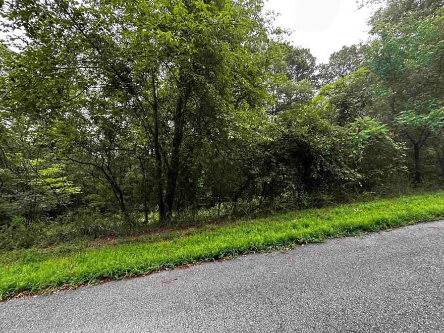 Great Neighborhood to build your dream home at the lake. Undergrounds utilities already in place!  Mineral rights do not convey.