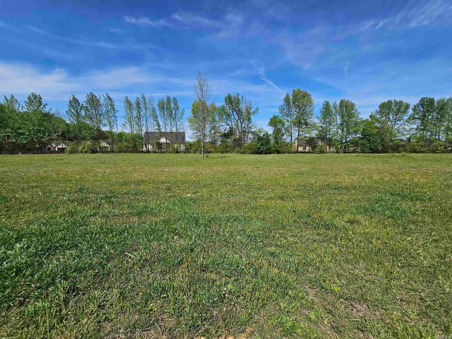 Welcome to a growing community in Ward offering ready-to-build 1-acre homesites that blend space, privacy, and convenience. Located in a rapidly developing area, this subdivision provides the perfect setting to build your dream home with easy access to nearby amenities. Don’t miss your chance to secure your place in this sought-after location! Agents see remarks.