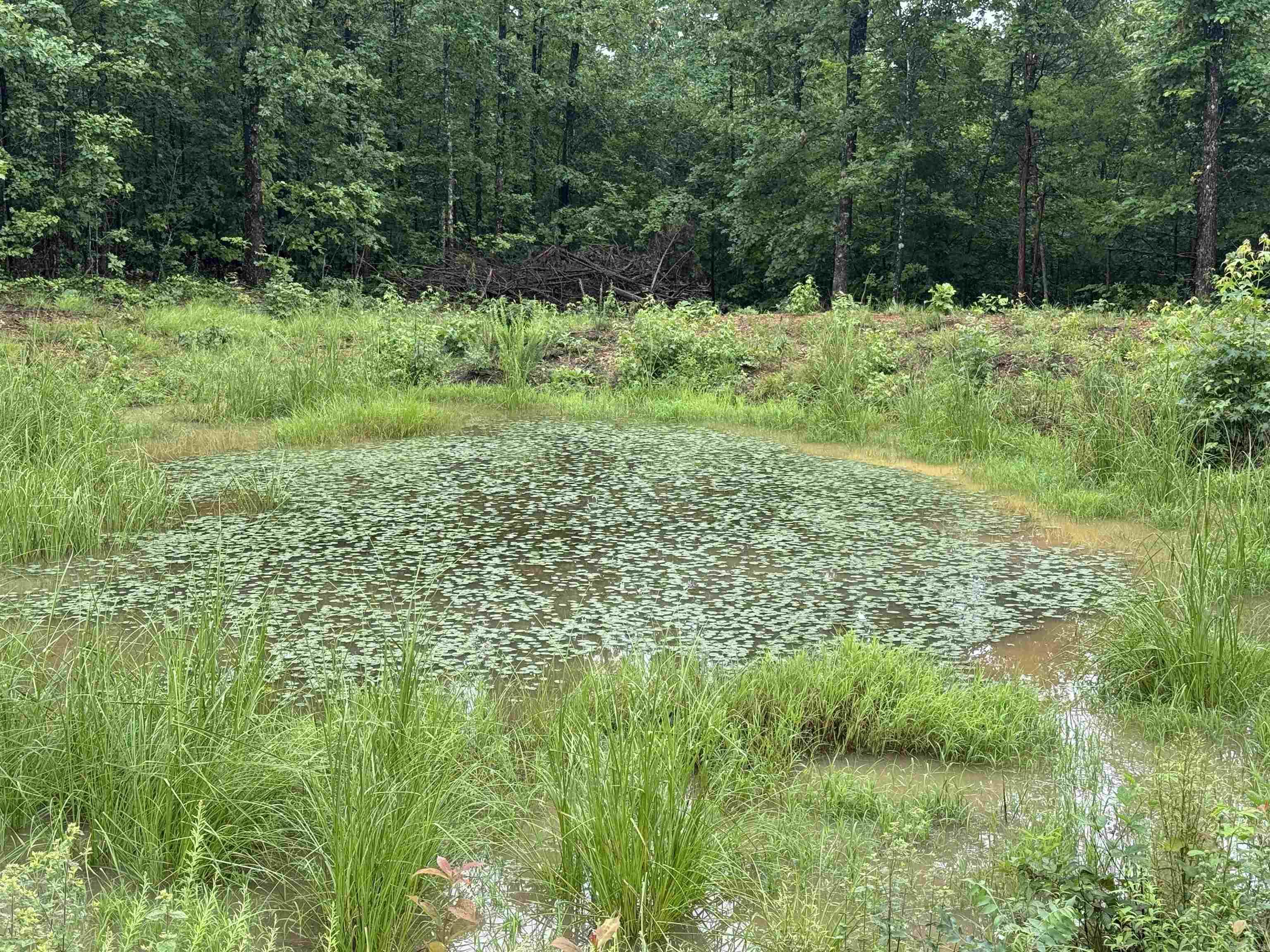 Tract 2 consists of 6 +/- acres with amazing views on paved, county-maintained Henderson Rd near Clinton, Arkansas. This beautiful property is mostly wooded with a private pond. Driveway will need to be built and some clearing to take place to open up the Ozark mountain vistas to the South and West. There is plenty of space to build your mountain retreat or your dream home with ample space to stretch your legs. This property is in a quiet setting with utilities along the county road. Minutes from Clinton and a short drive to Greers Ferry Lake. Private, scenic, and ready for your vision.