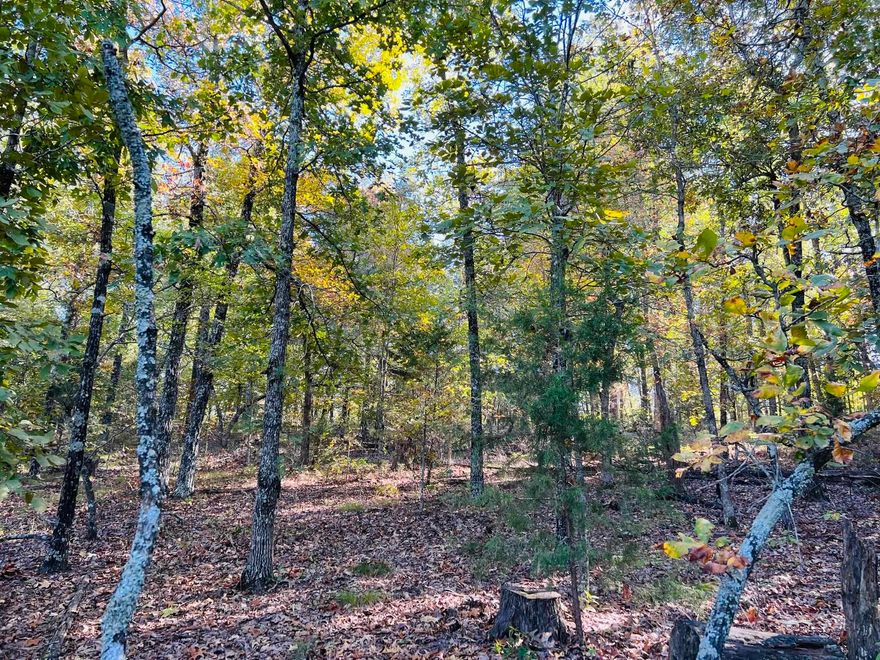 5.5 Acres of Unrestricted Wooded Land in Rural Melbourne, Arkansas  This is an unrestricted 5.5 acres of wooded land, located just beyond Melbourne, Arkansas city limits. Situated on a county gravel road, this property is easily accessible, with the convenience of being less than 1/4 mile away from the blacktop road. While the property doesn't have utilities on-site, electricity is available. This land is ideal for hunting, camping, or even building your dream home or cabin. The possibilities are endless. This land holds the promise of becoming your next asset! Listed for only $24,900!