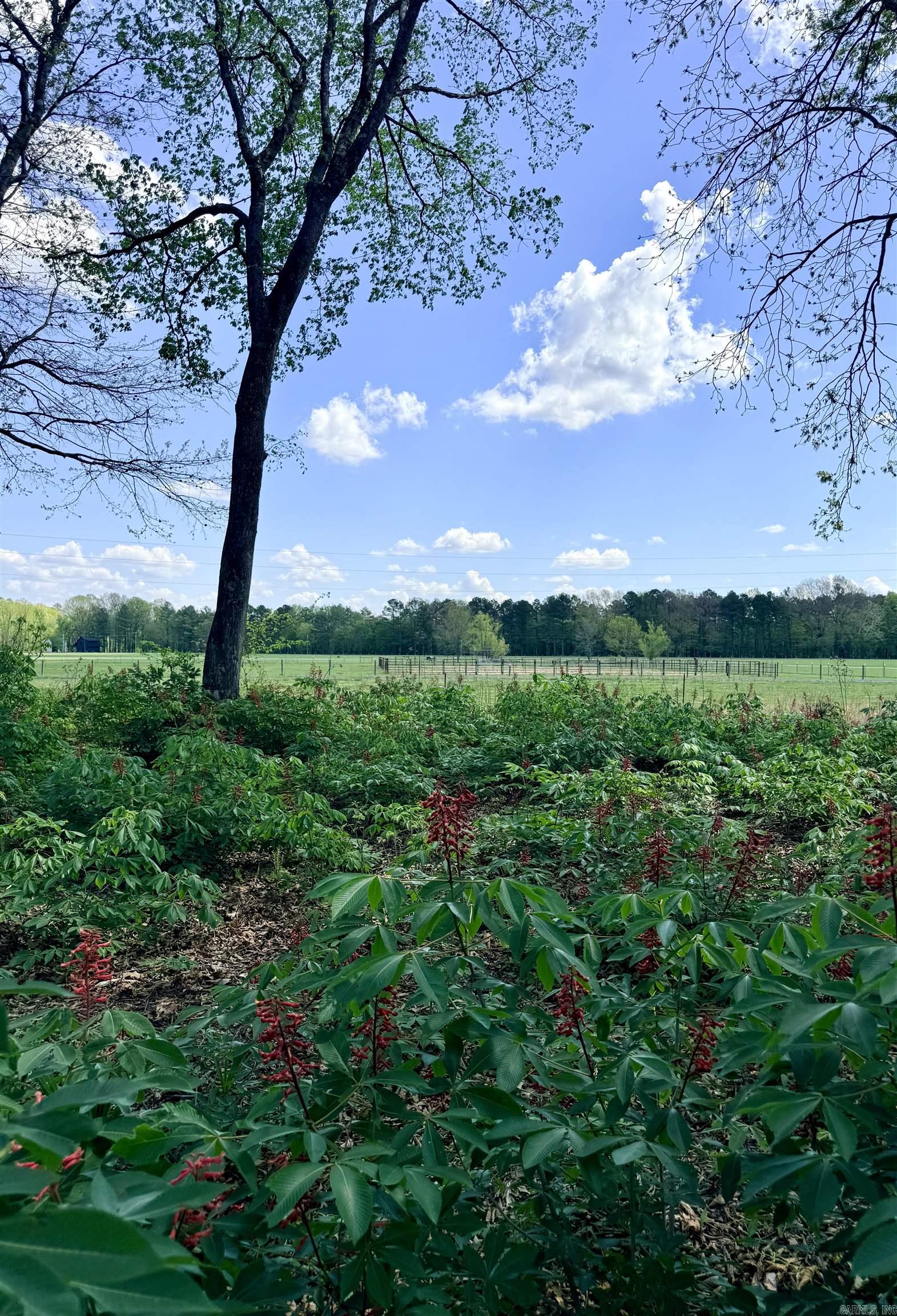 RIVER CREEK ESTATES - Land