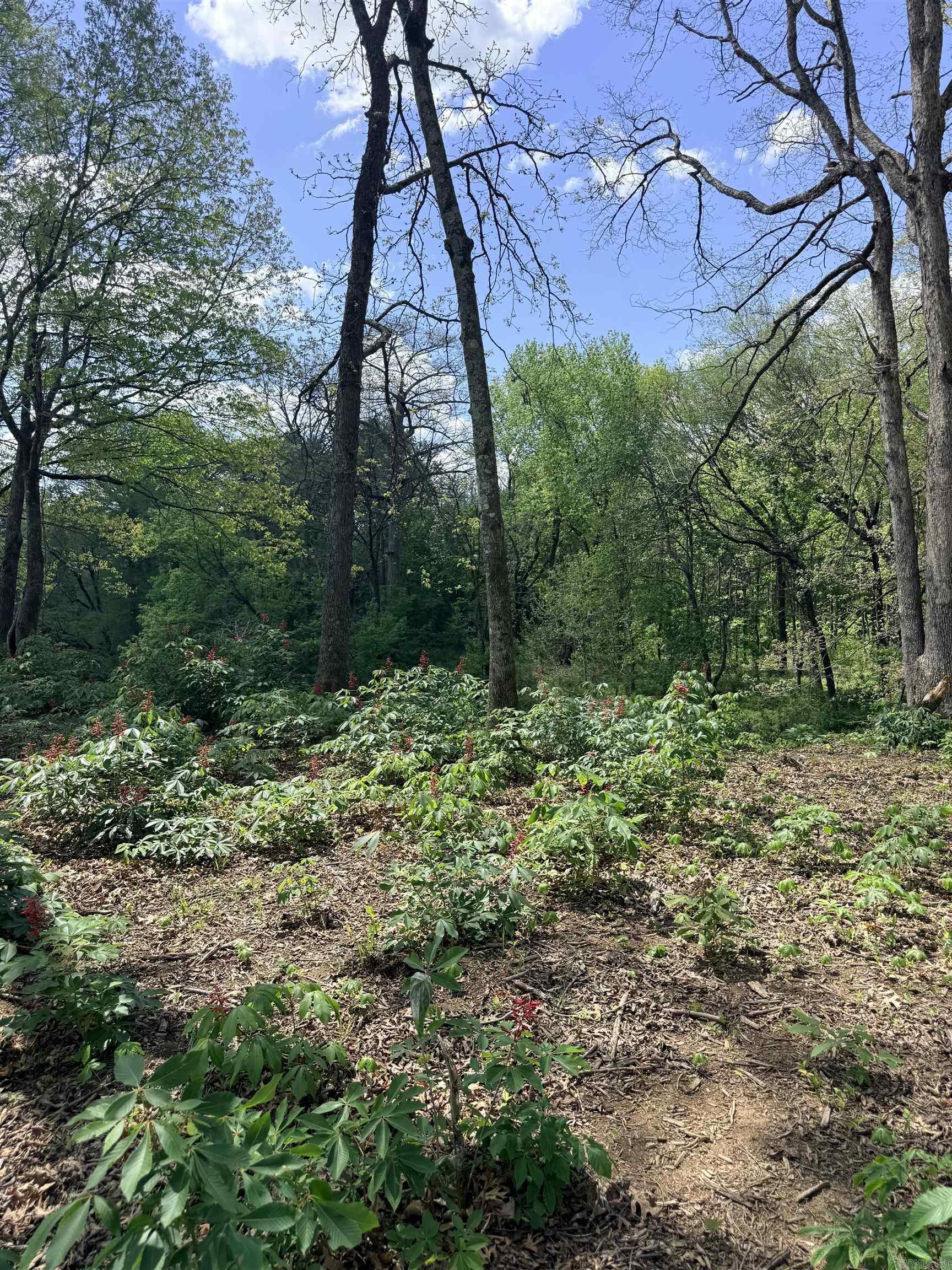 RIVER CREEK ESTATES - Land