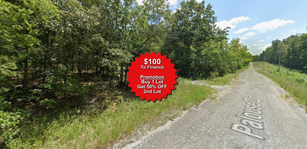 Buy one lot and get 50% off an additional lot! Owner-finance for easy terms. Cash buyers can pay by debit or credit card as well. Nice lot to develop or hold for future value. Public water and electric are available to run to property and will need septic. Owner/agent. No mobiles allowed. 1000 minimum build size on any other type of home, depending on subdivision. Finance is $100 down and 10 months at $99 and closing costs are included. Lots marked with red banner are part of promotion. No limit on lots. Buyer responsible for any/all taxes and lots sold "as-is". Quit claim deed conveys. Parcel ID# 400-21138-000