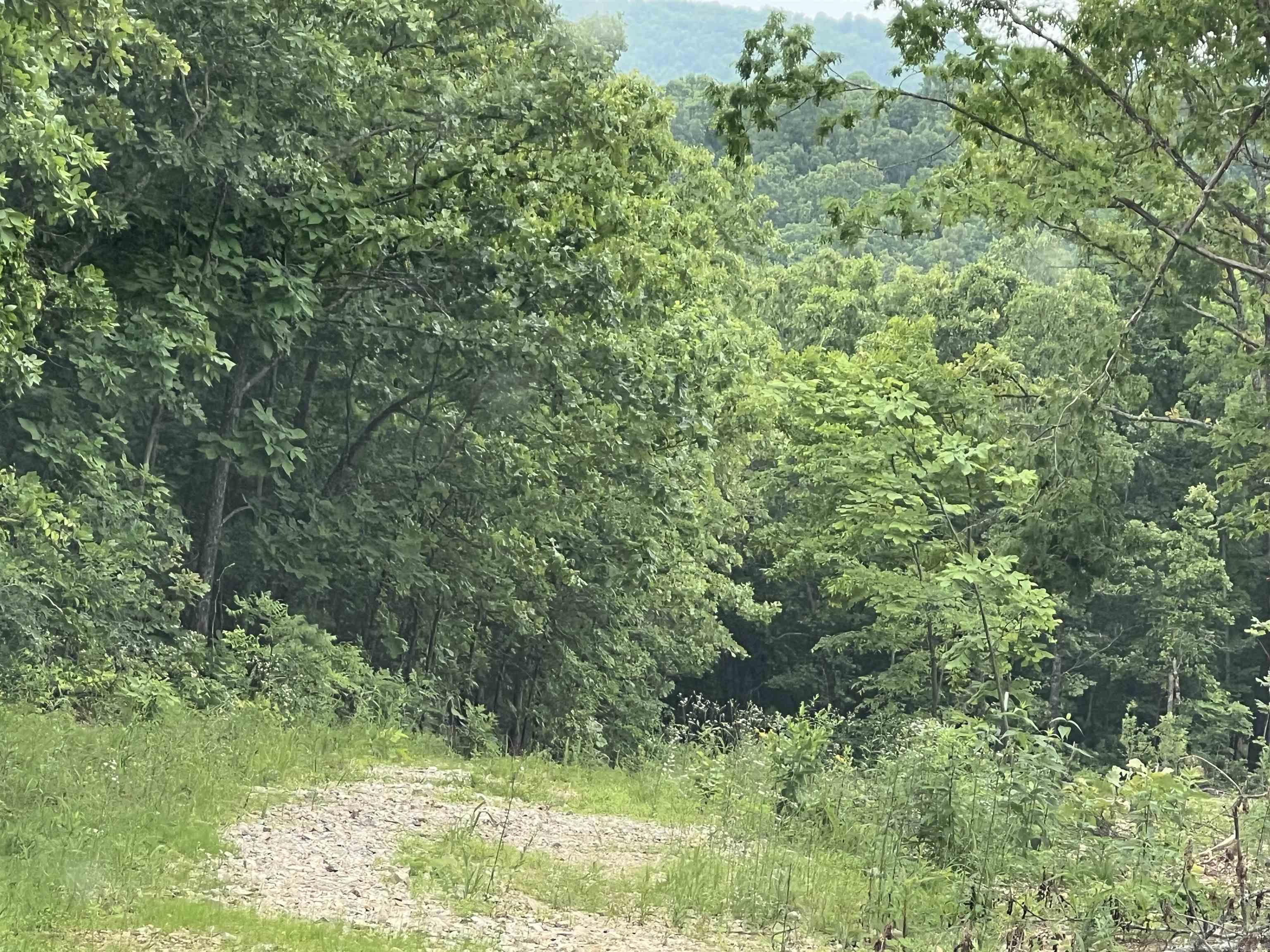 ACREAGE/OFF BEATEN PATH 11 Acres all in various types of area trees. Good hunting area or build a cabin for a get away. No utilities. Spring River near by. Offered @ $25,000