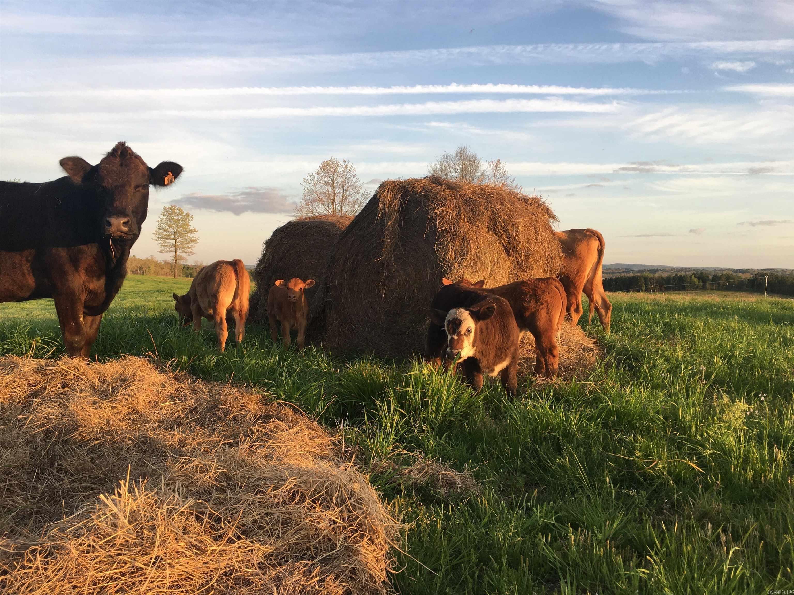 LONSDALE - CITY - Residential