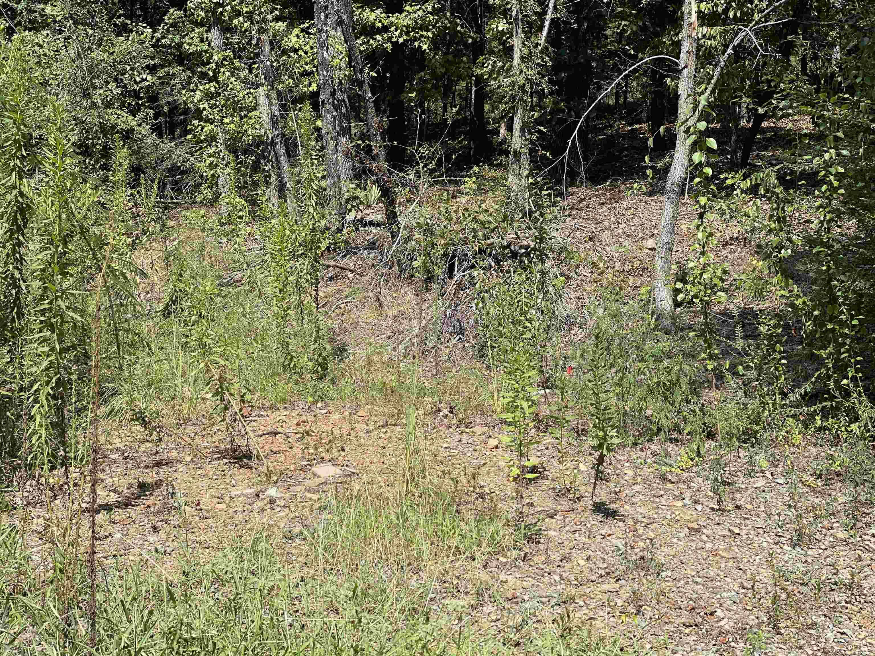 Not in Subdivision - Land