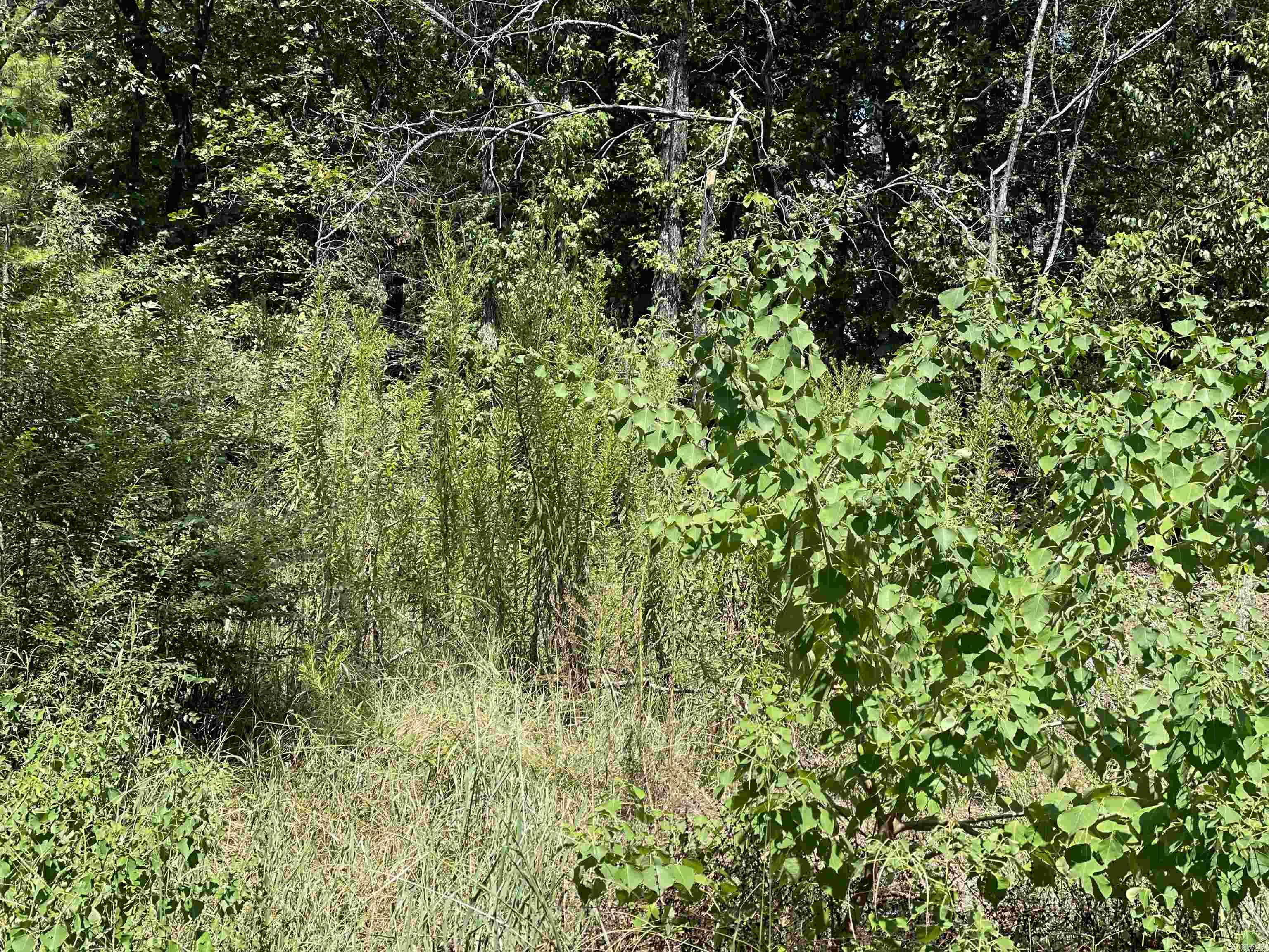 Not in Subdivision - Land