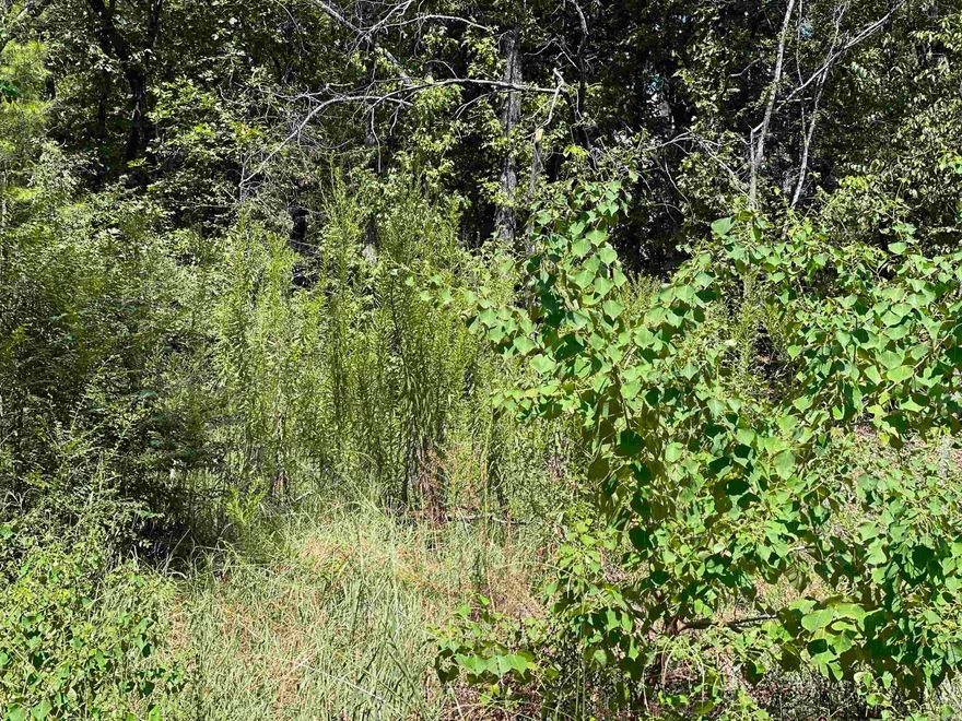 Great location 2.5 acres right next to Wooster Elementary that runs along McMillian Rd. and Hwy 285. There are several beautiful spots to build a dream home nestled in the woods.  This property is inside the city limits so you will have to tie into city sewer which will cost approx. $7,200.00.  Any questions please contact the agent.  Look for sign at the road.