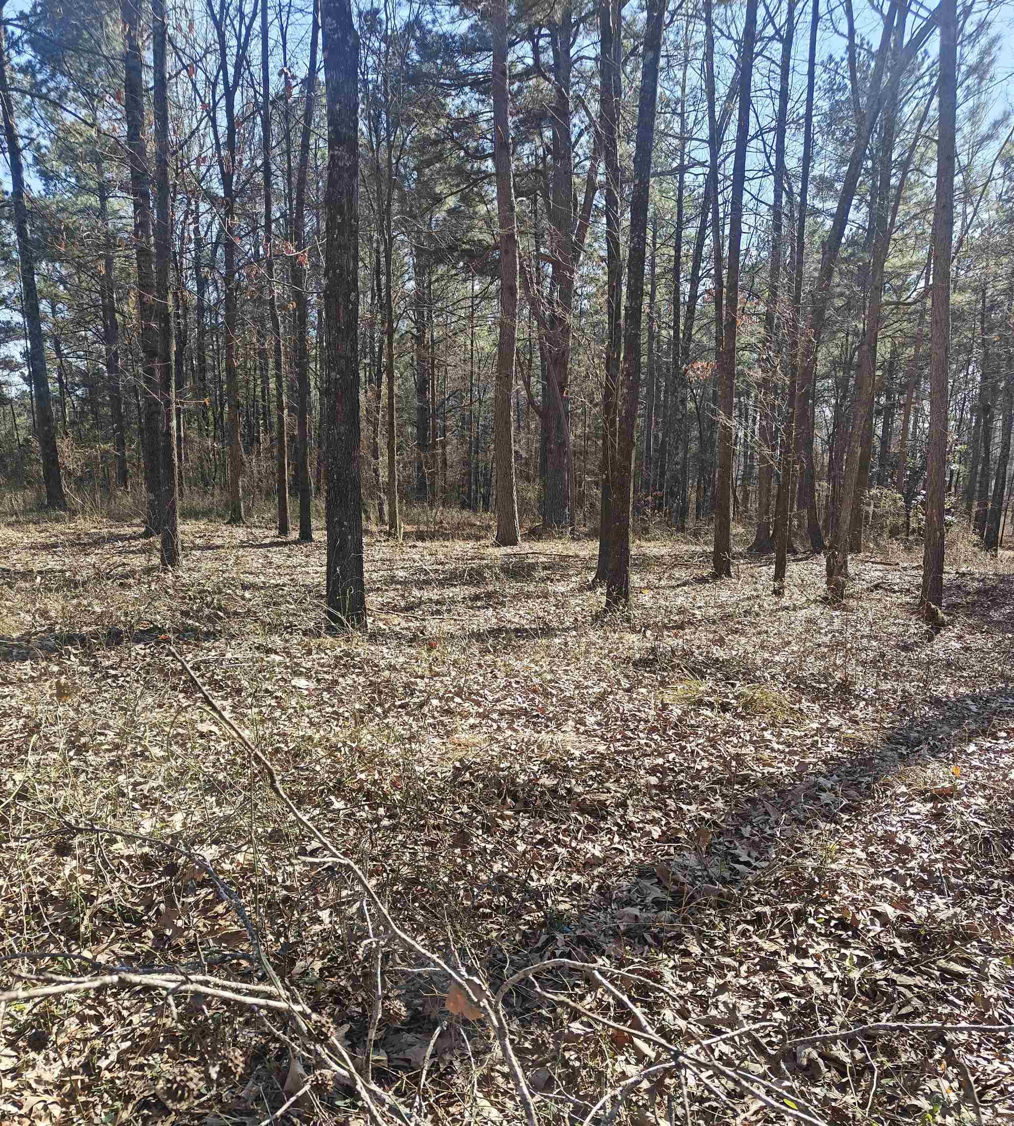 Not in Subdivision - Land