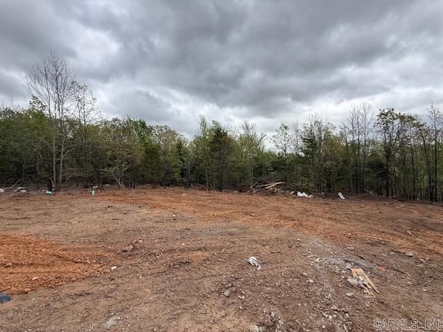 SUMMERLYN SUBDIVISION - Residential