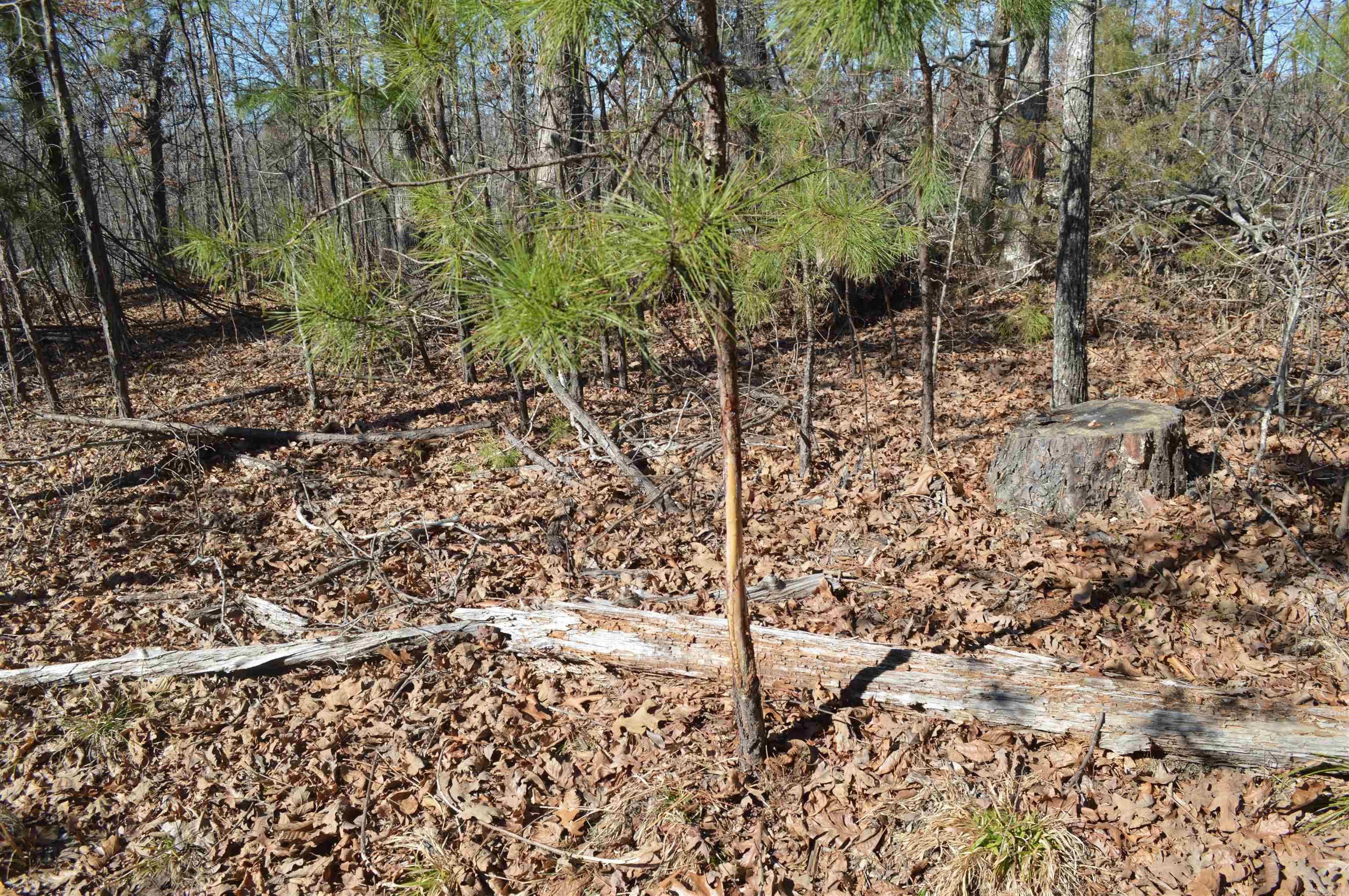 Metes & Bounds - Land